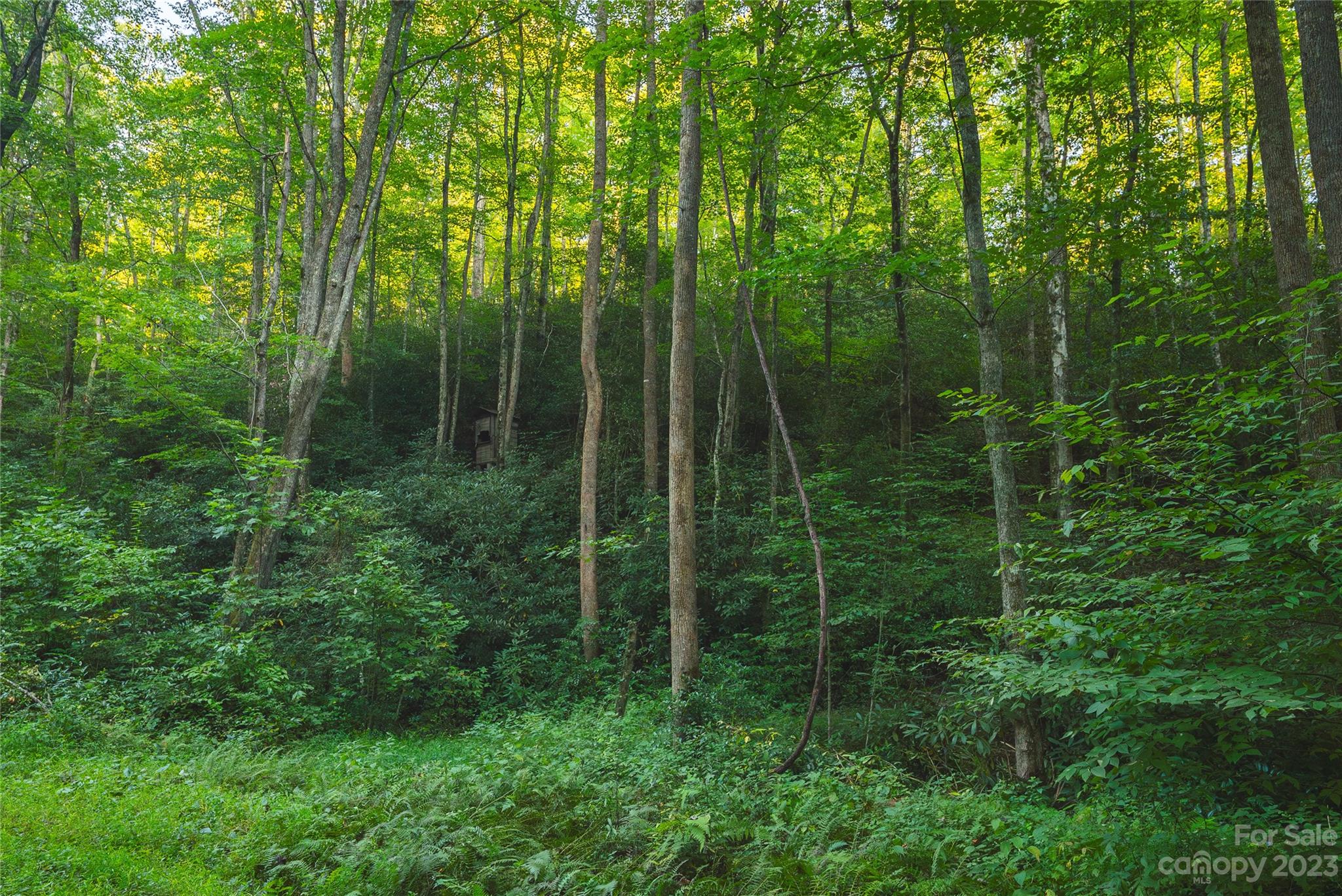4157 Kirby Mountain Road Lenoir NC 28645