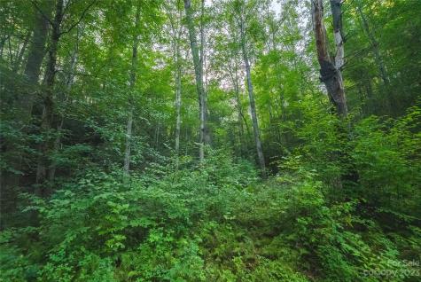 4157 Kirby Mountain Road Lenoir NC 28645