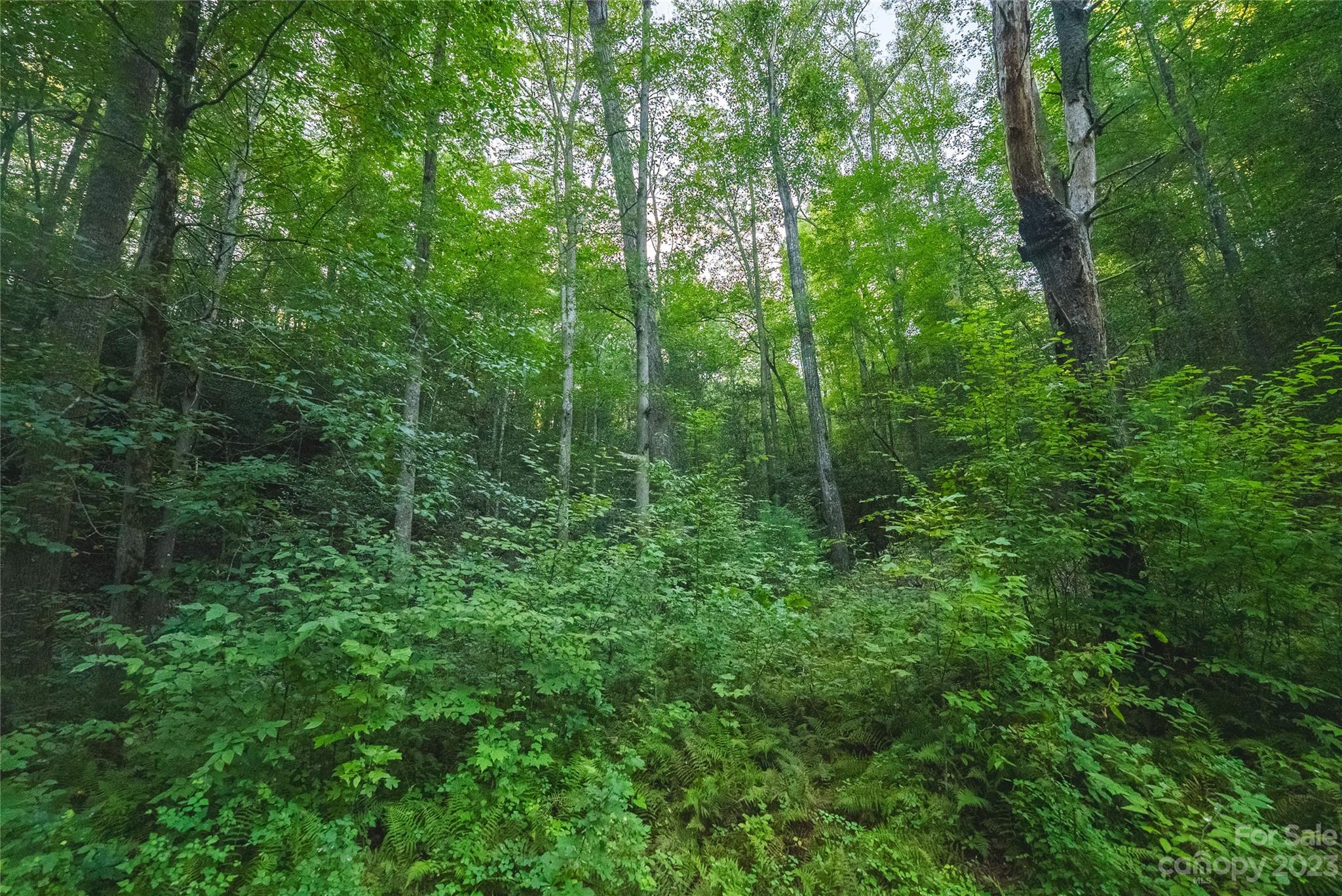 4157 Kirby Mountain Road Lenoir NC 28645