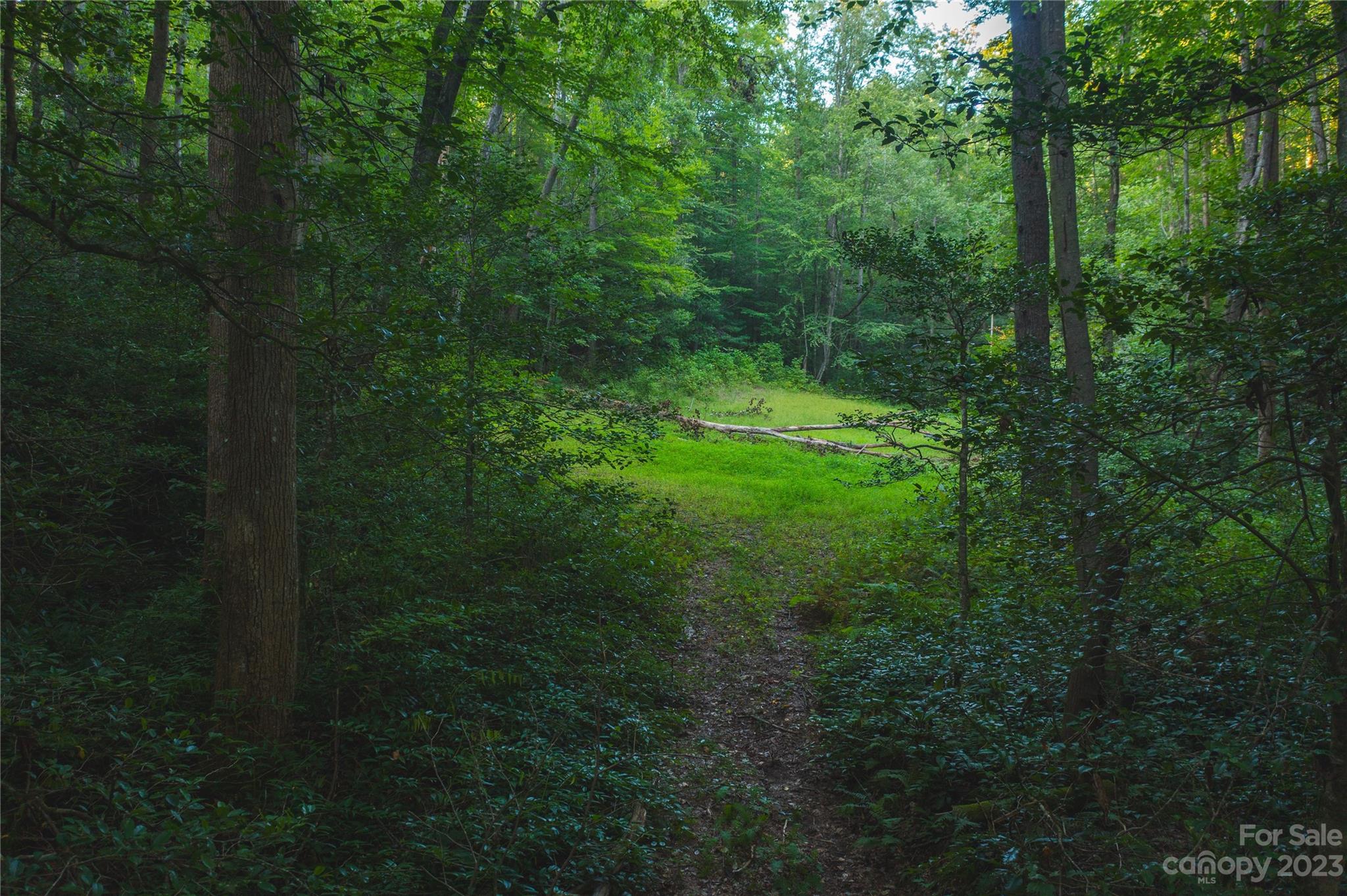 4157 Kirby Mountain Road Lenoir NC 28645