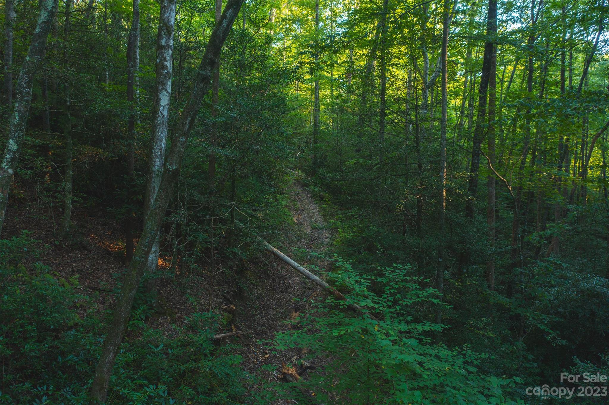 4157 Kirby Mountain Road Lenoir NC 28645