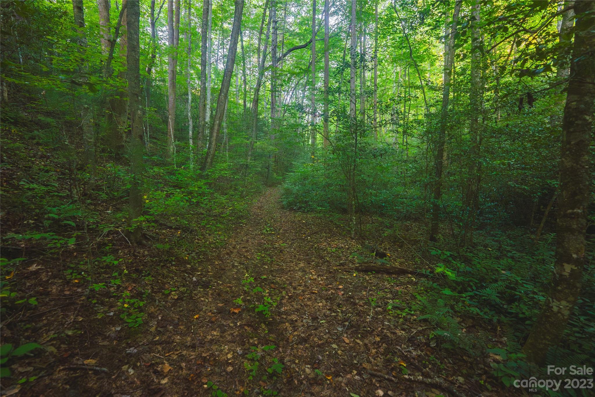 4157 Kirby Mountain Road Lenoir NC 28645
