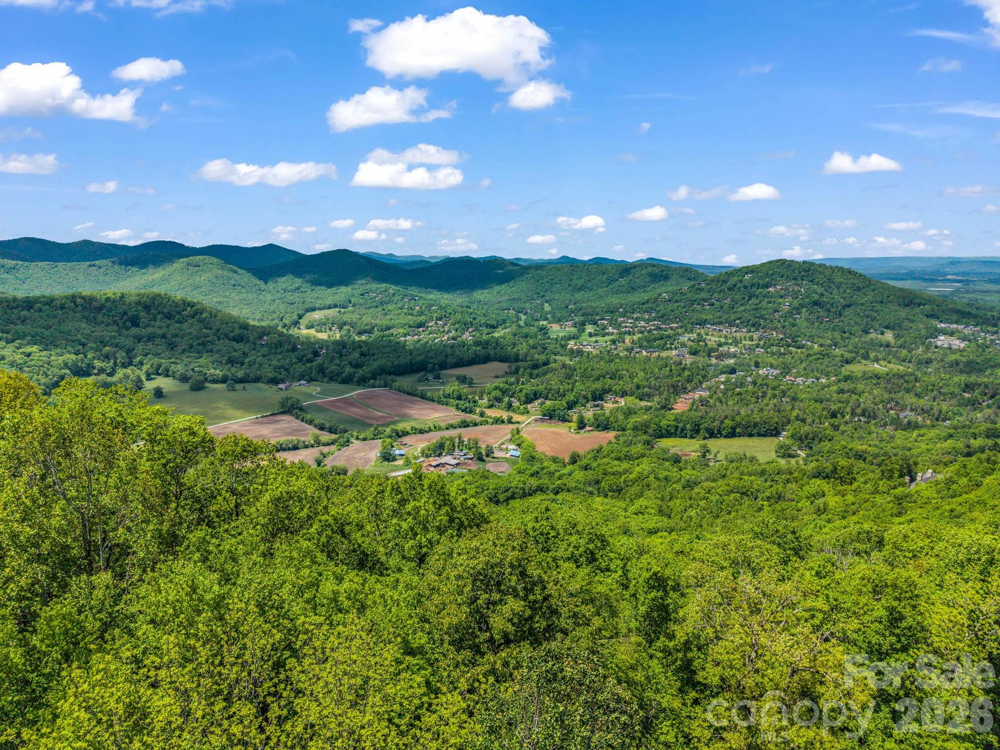 99999 Laurel Drive Mills River NC 28759