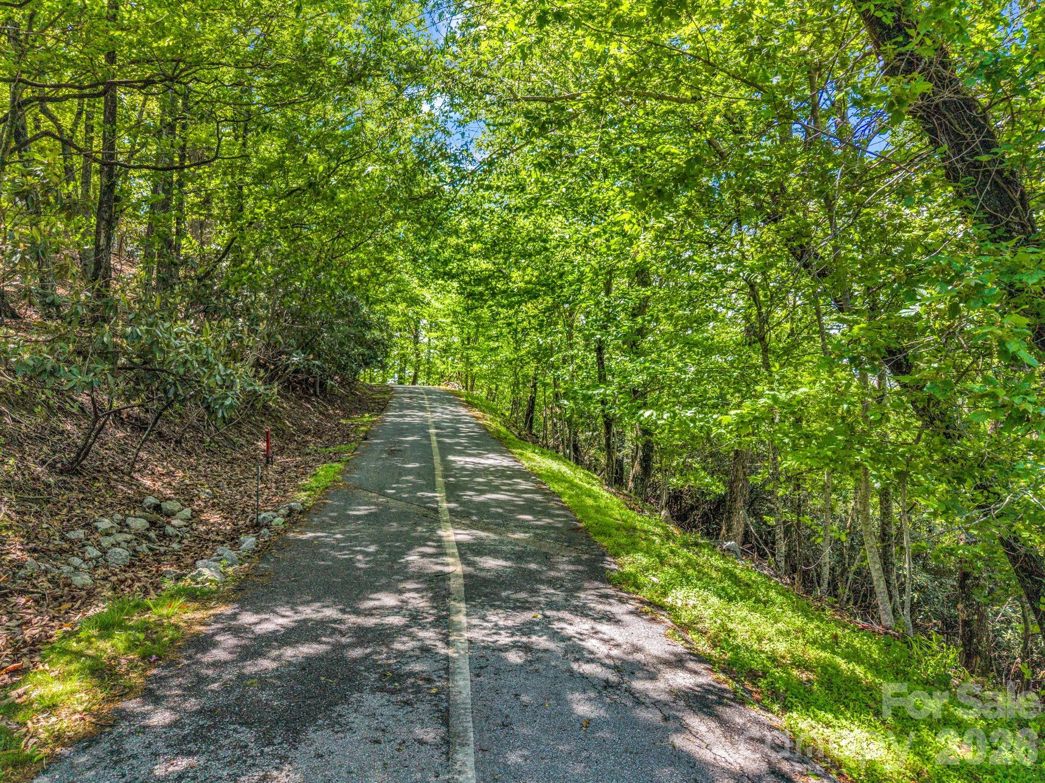99999 Laurel Drive Mills River NC 28759