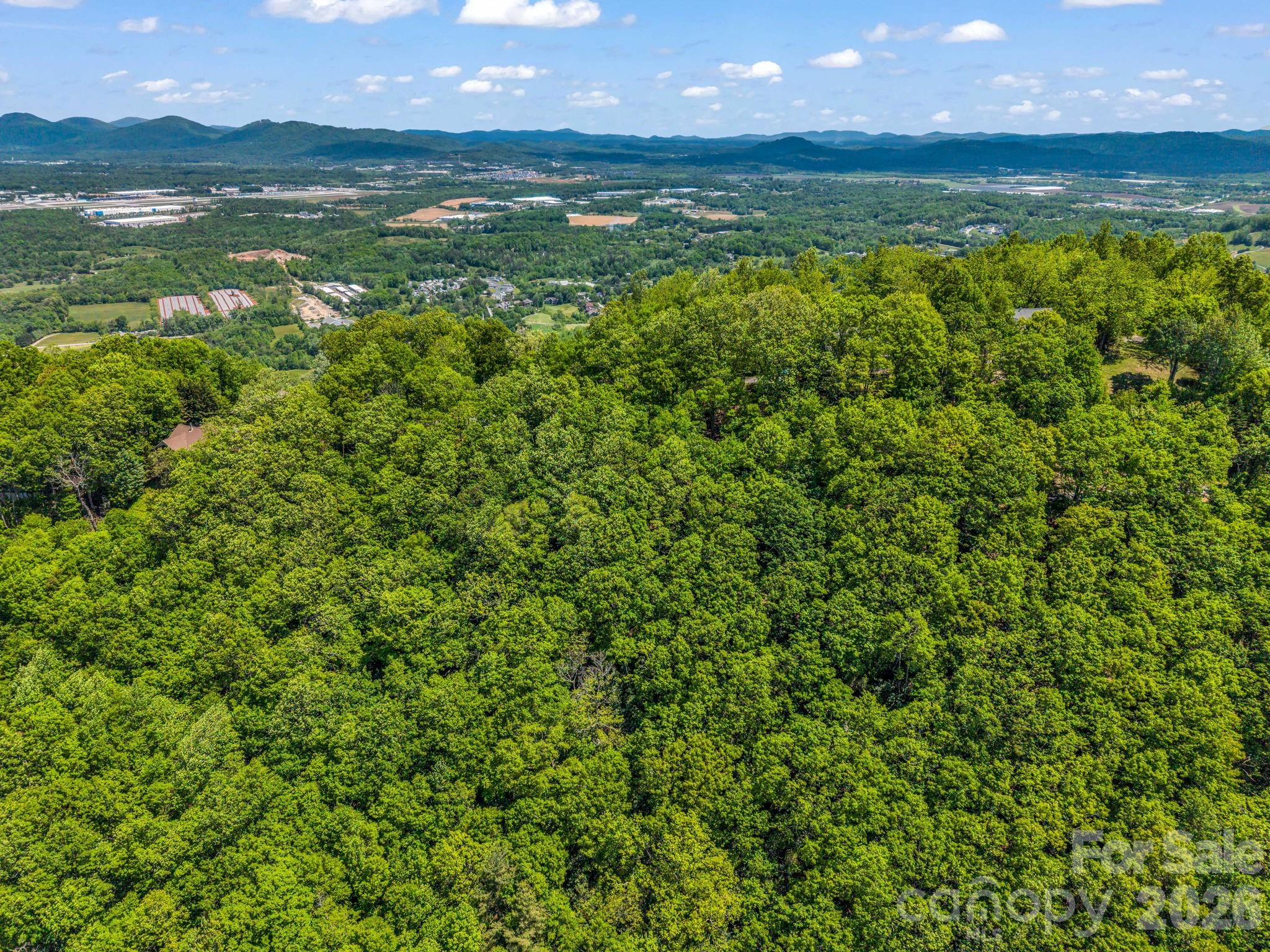 99999 Laurel Drive Mills River NC 28759