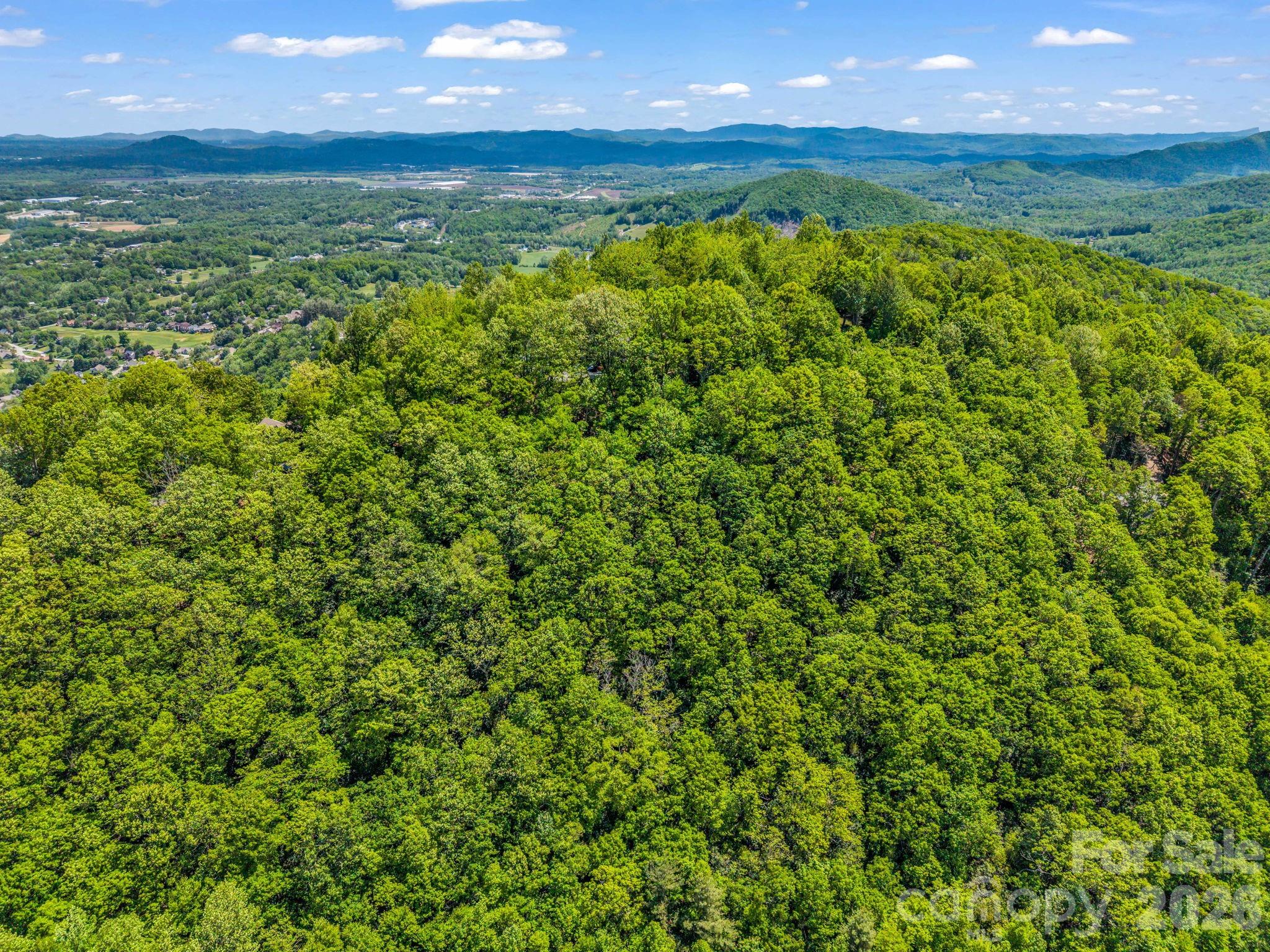 99999 Laurel Drive Mills River NC 28759