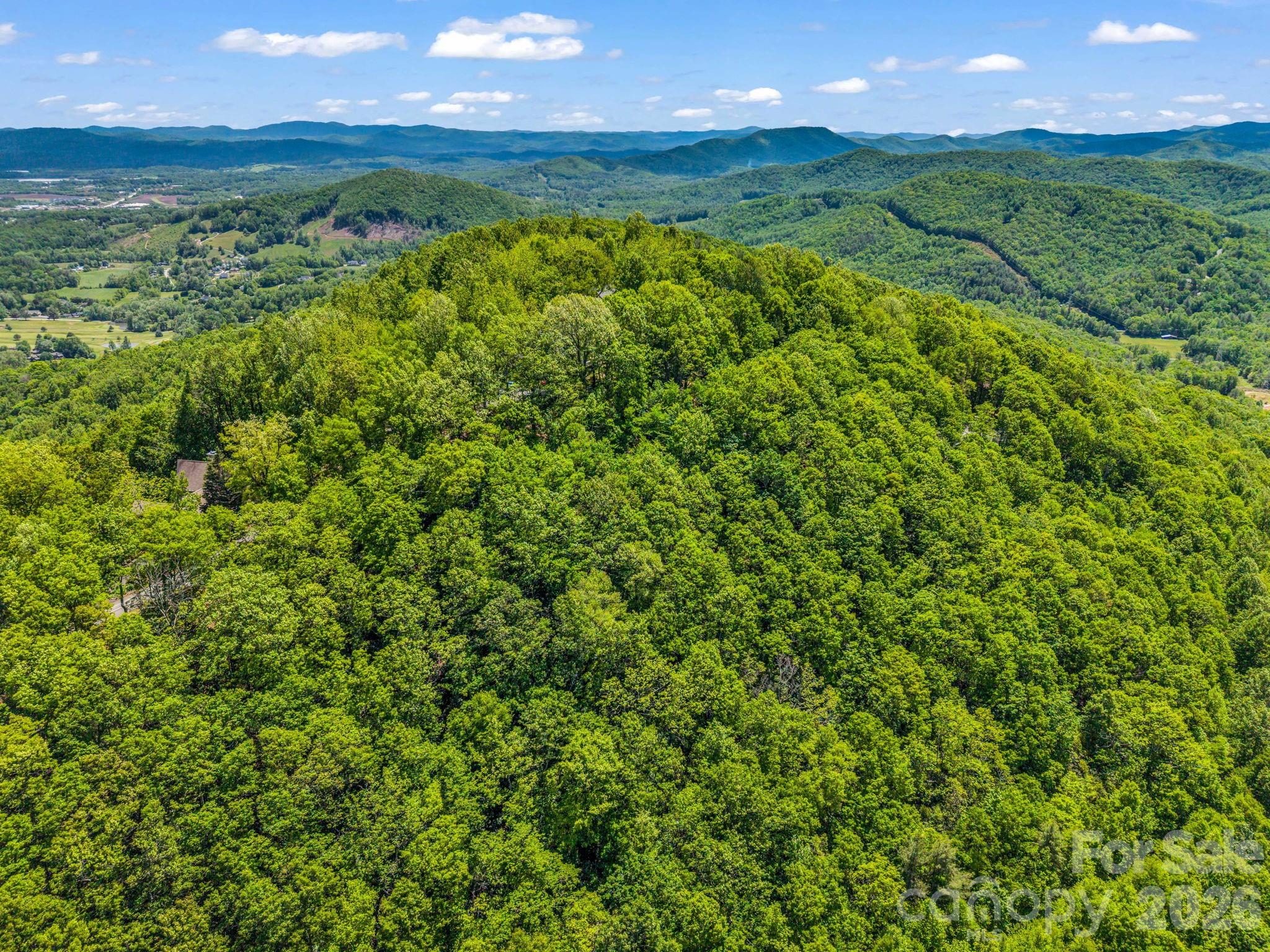 99999 Laurel Drive Mills River NC 28759