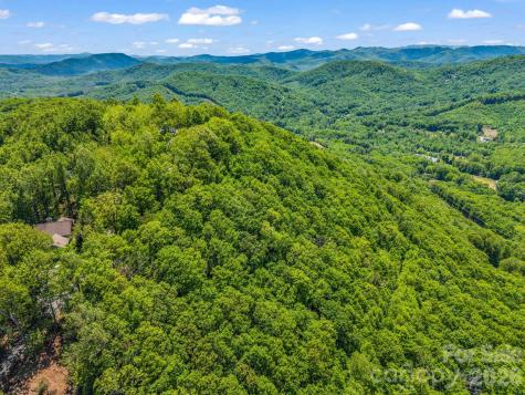 99999 Laurel Drive Mills River NC 28759