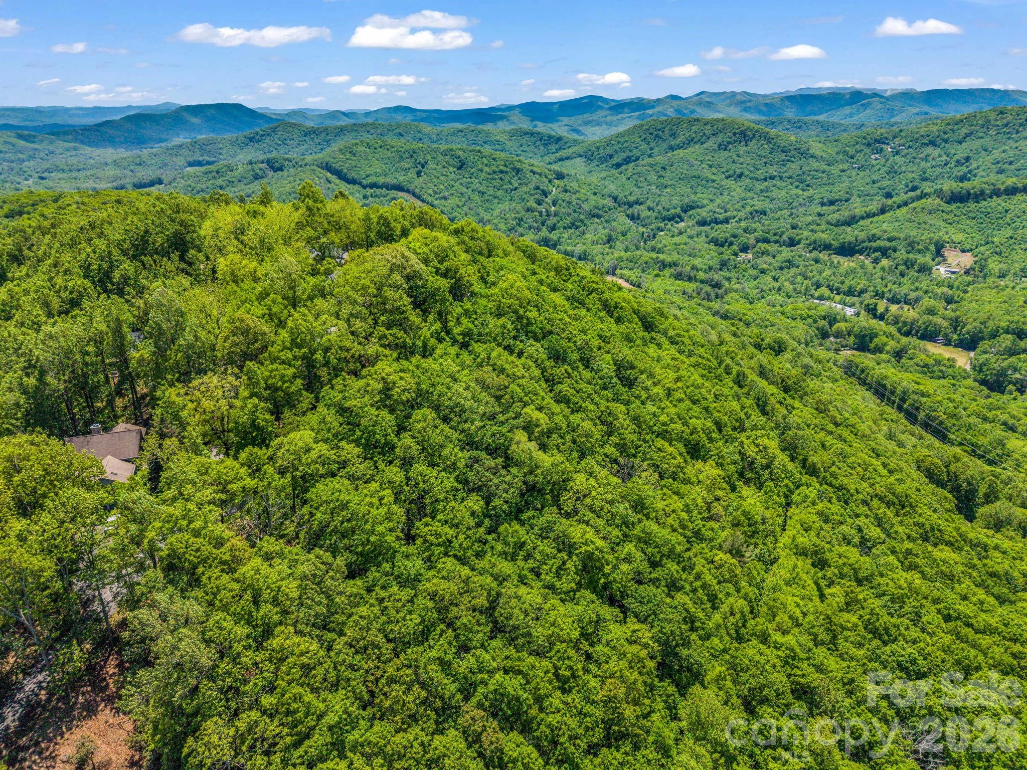 99999 Laurel Drive Mills River NC 28759
