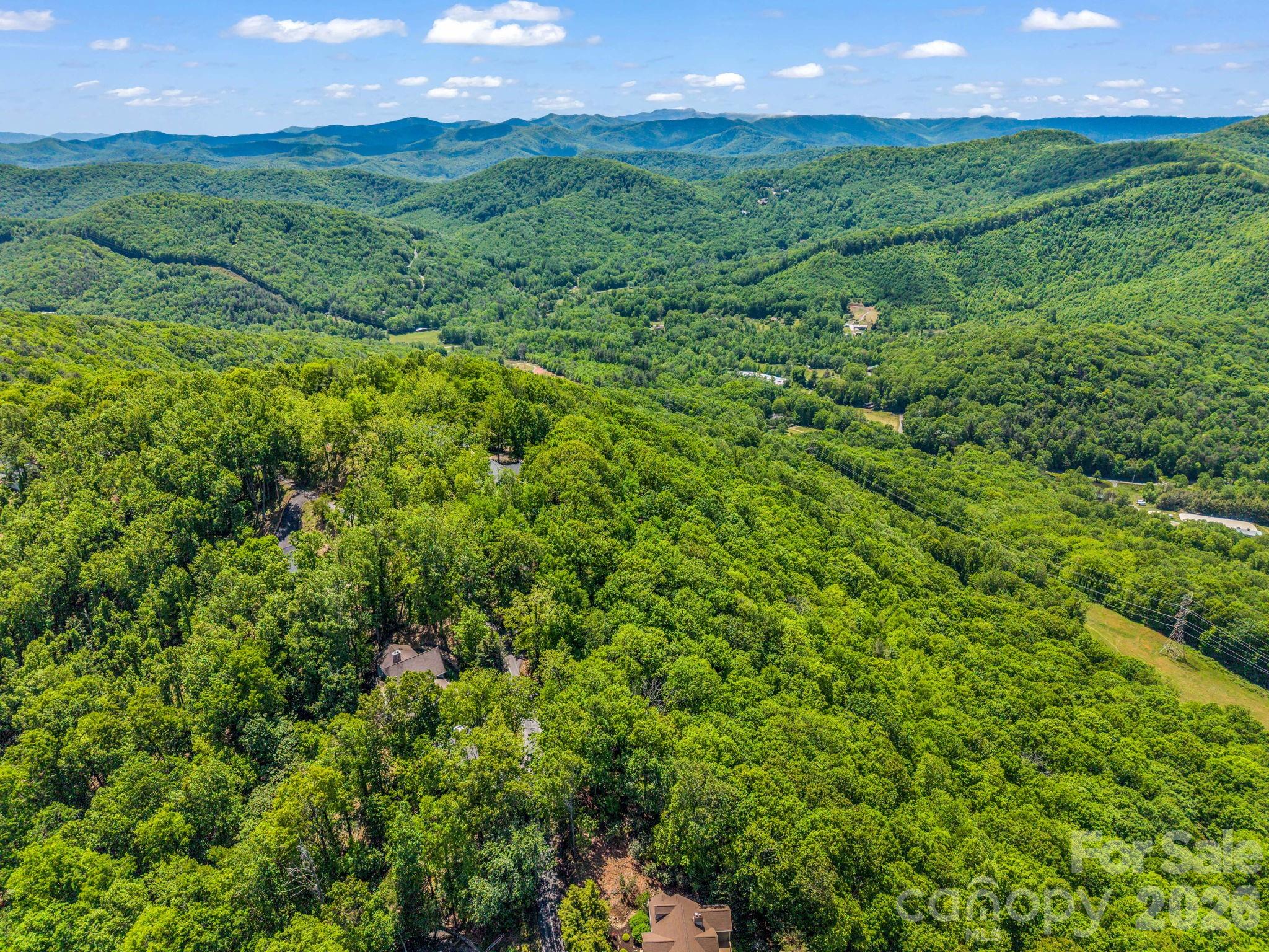 99999 Laurel Drive Mills River NC 28759