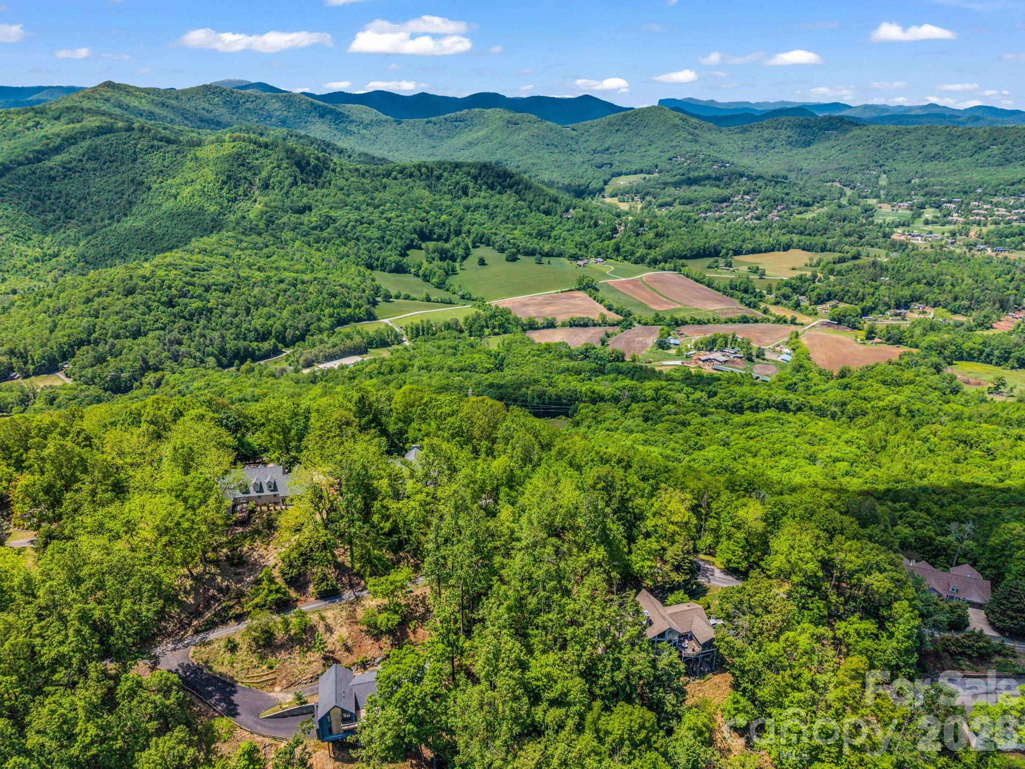 99999 Laurel Drive Mills River NC 28759