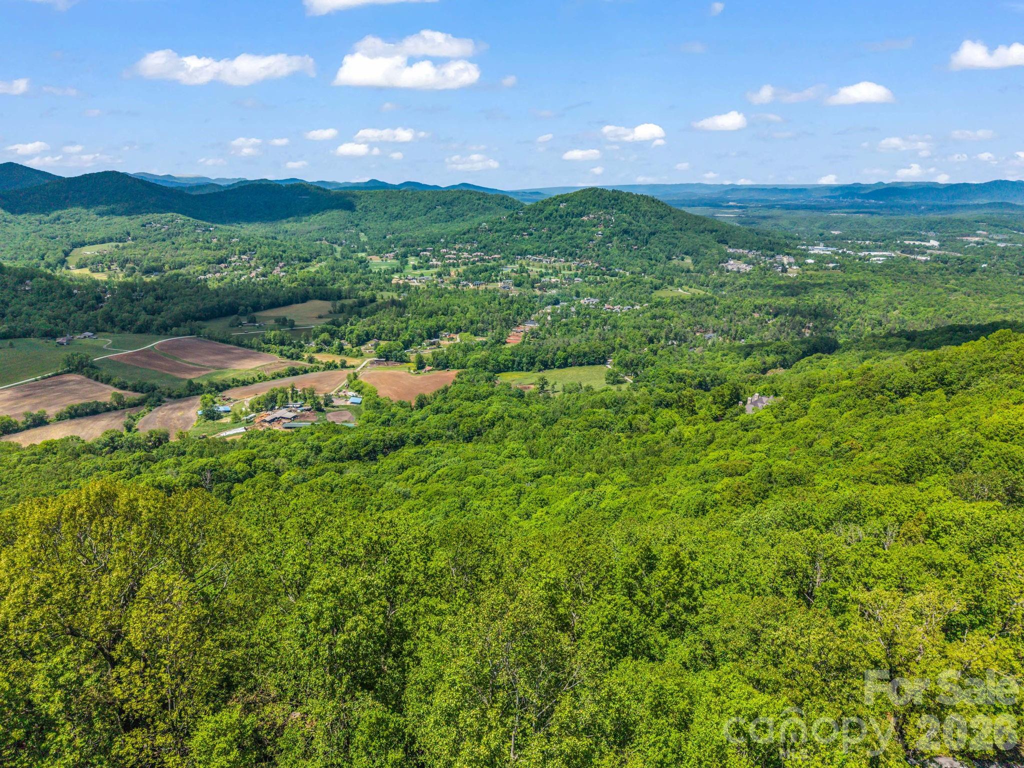 99999 Laurel Drive Mills River NC 28759