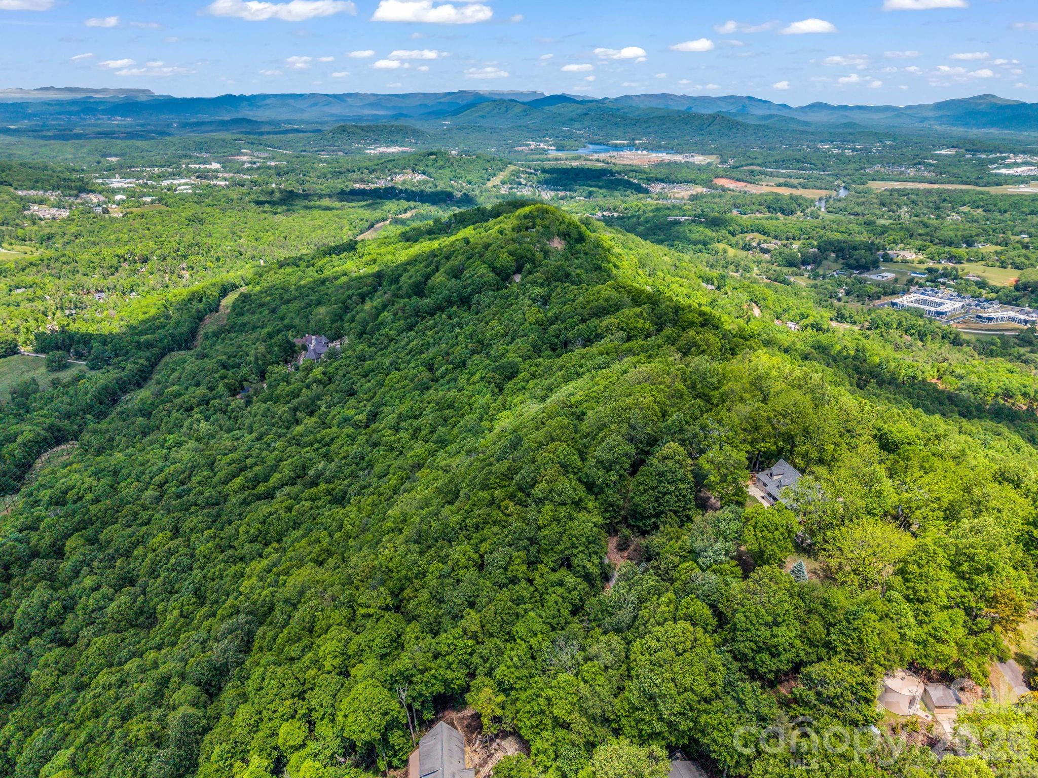 99999 Laurel Drive Mills River NC 28759