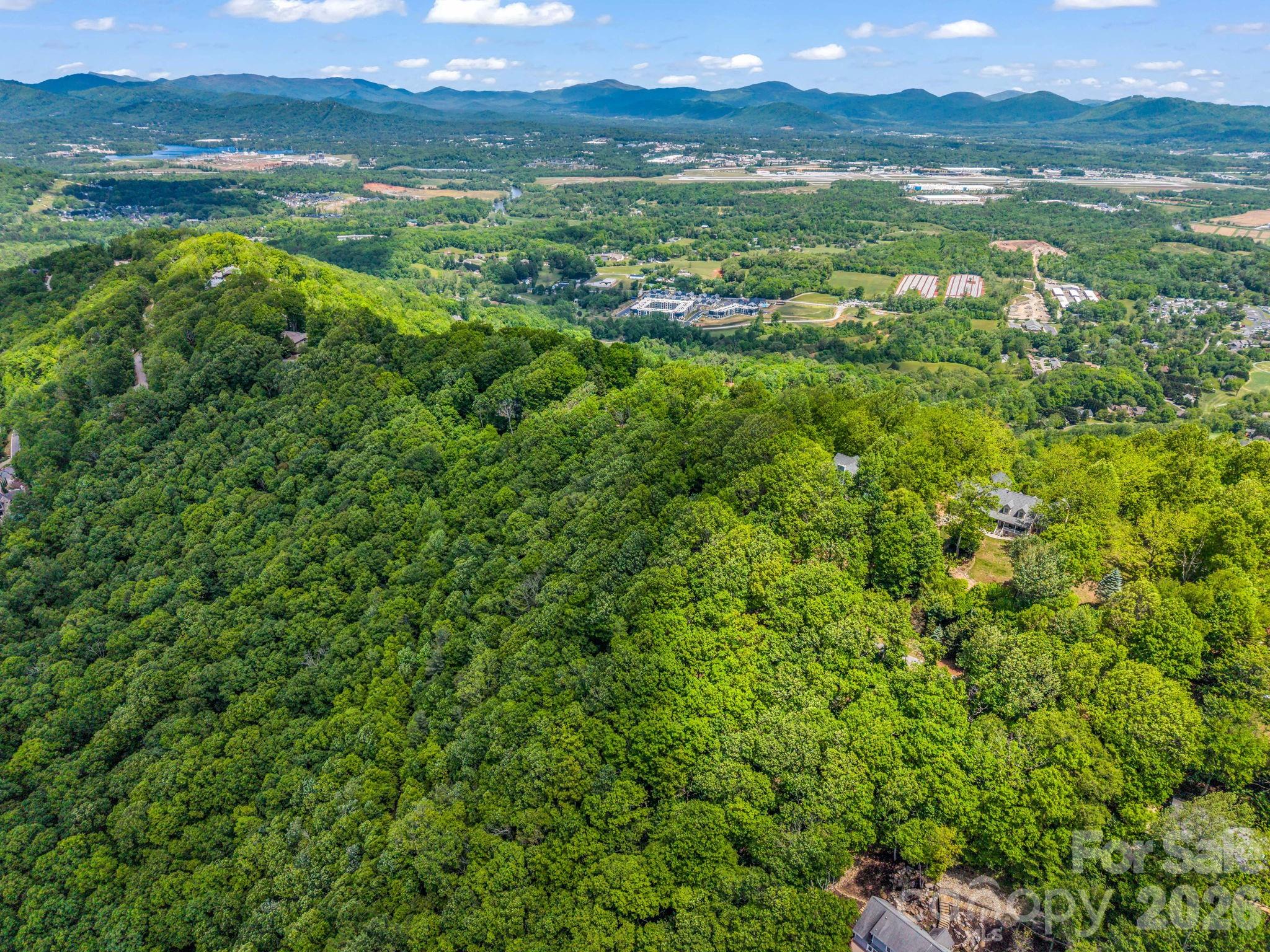 99999 Laurel Drive Mills River NC 28759