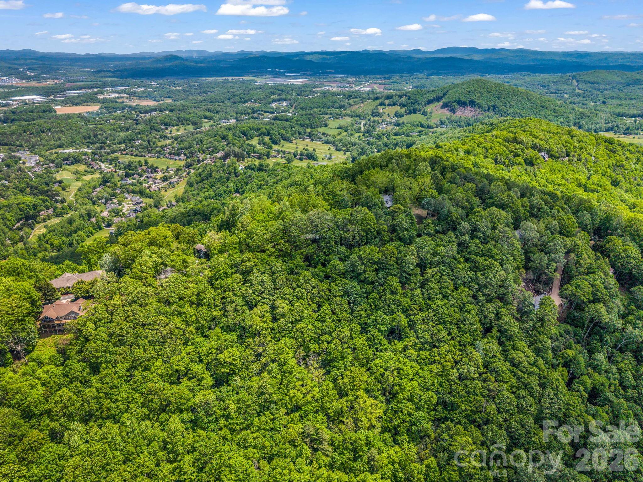 99999 Laurel Drive Mills River NC 28759