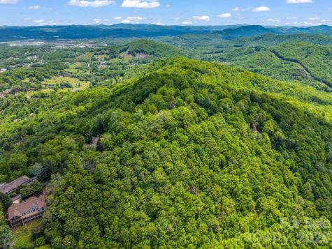 99999 Laurel Drive Mills River NC 28759