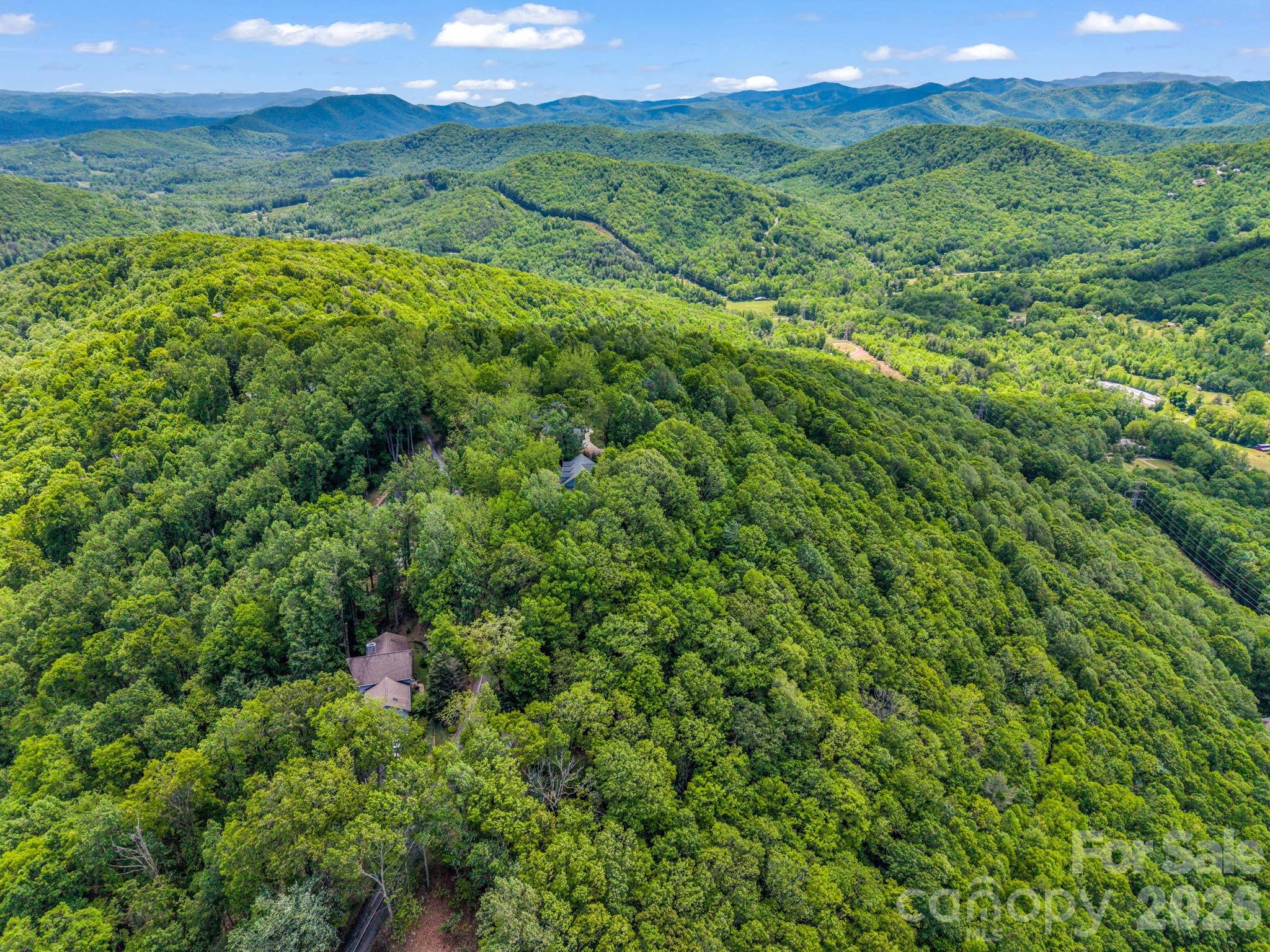 99999 Laurel Drive Mills River NC 28759