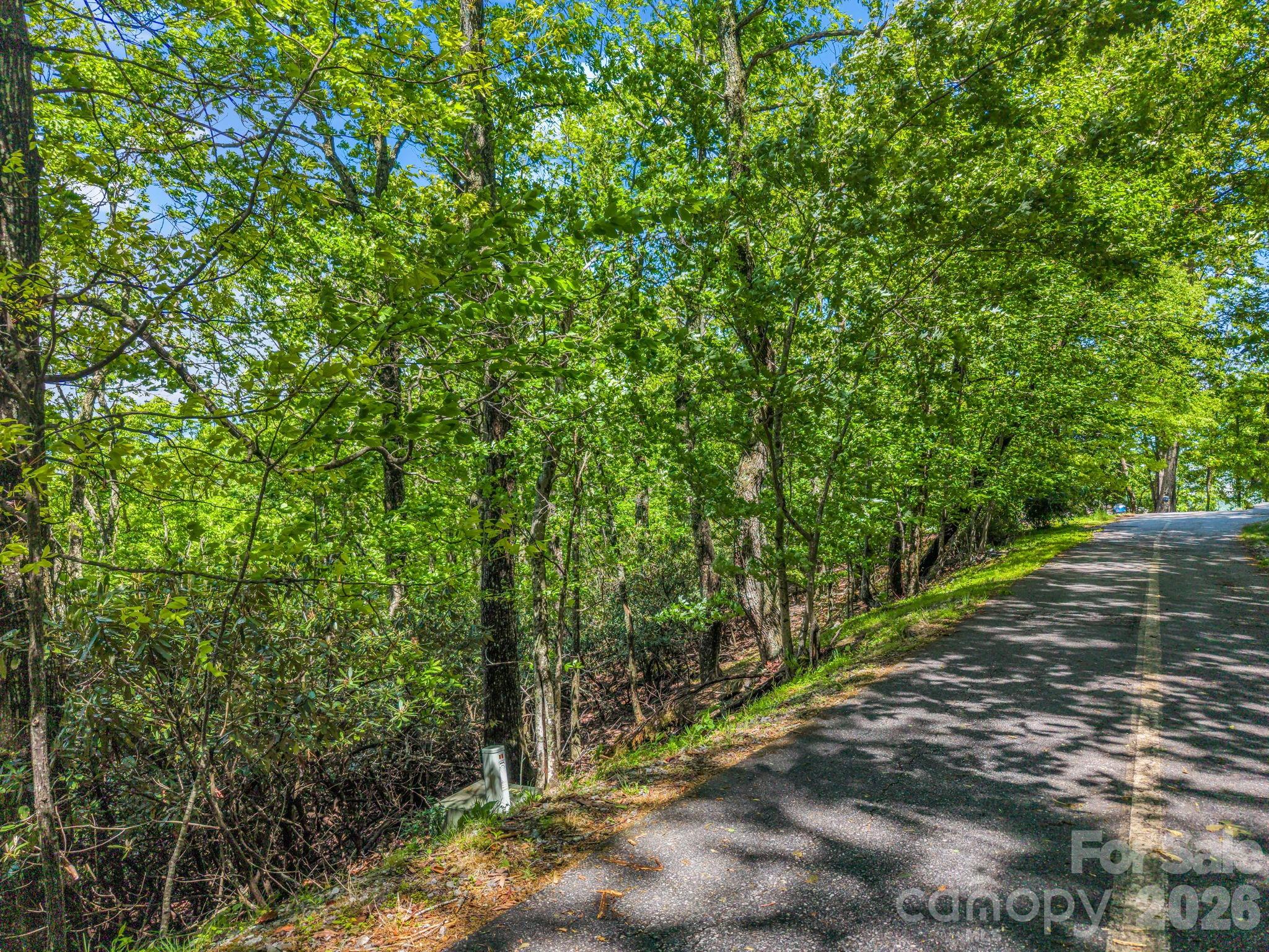 99999 Laurel Drive Mills River NC 28759