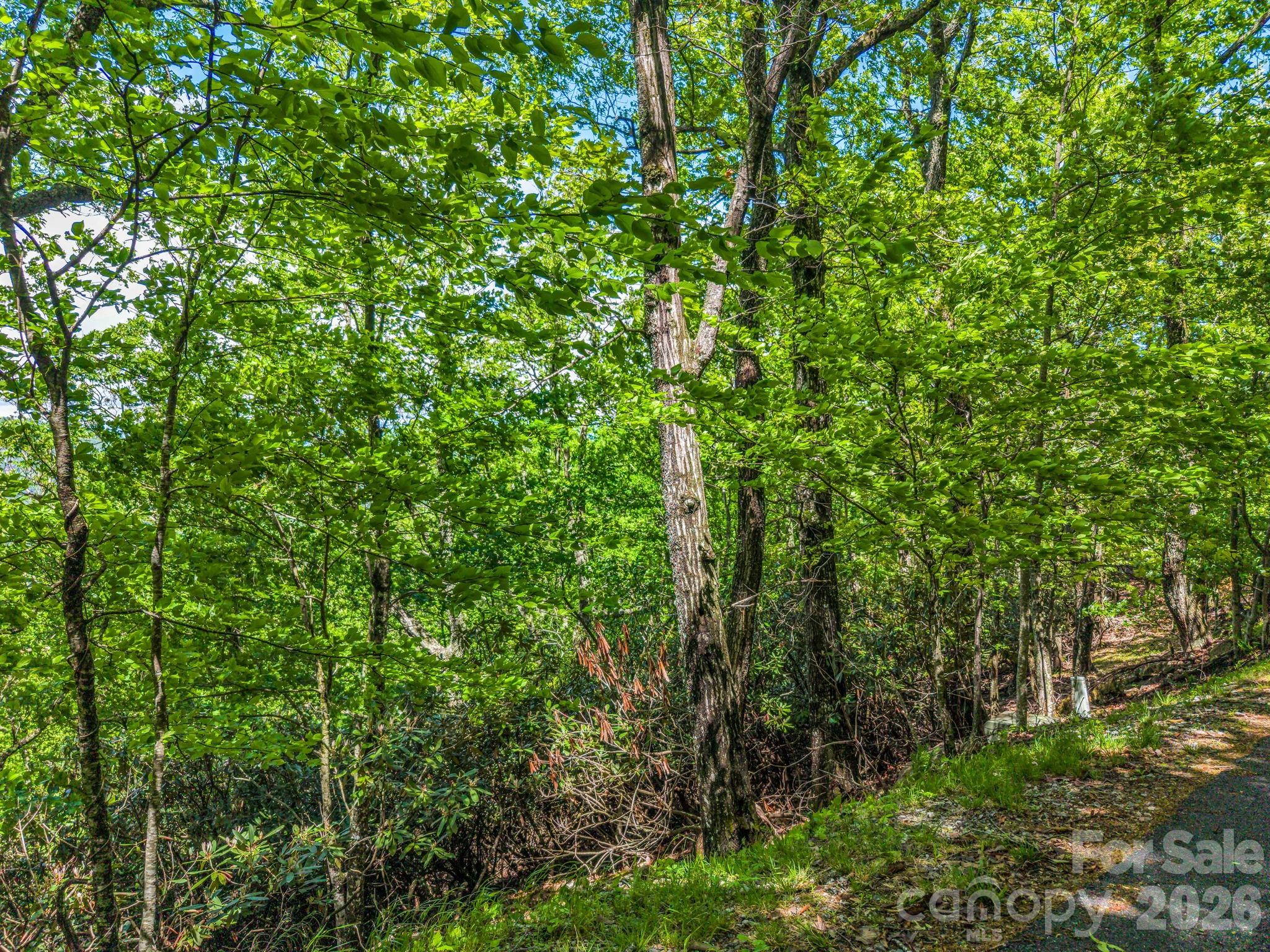 99999 Laurel Drive Mills River NC 28759