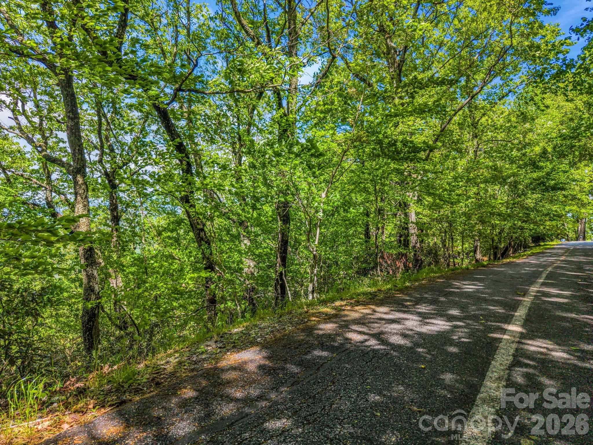 99999 Laurel Drive Mills River NC 28759