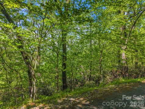 99999 Laurel Drive Mills River NC 28759