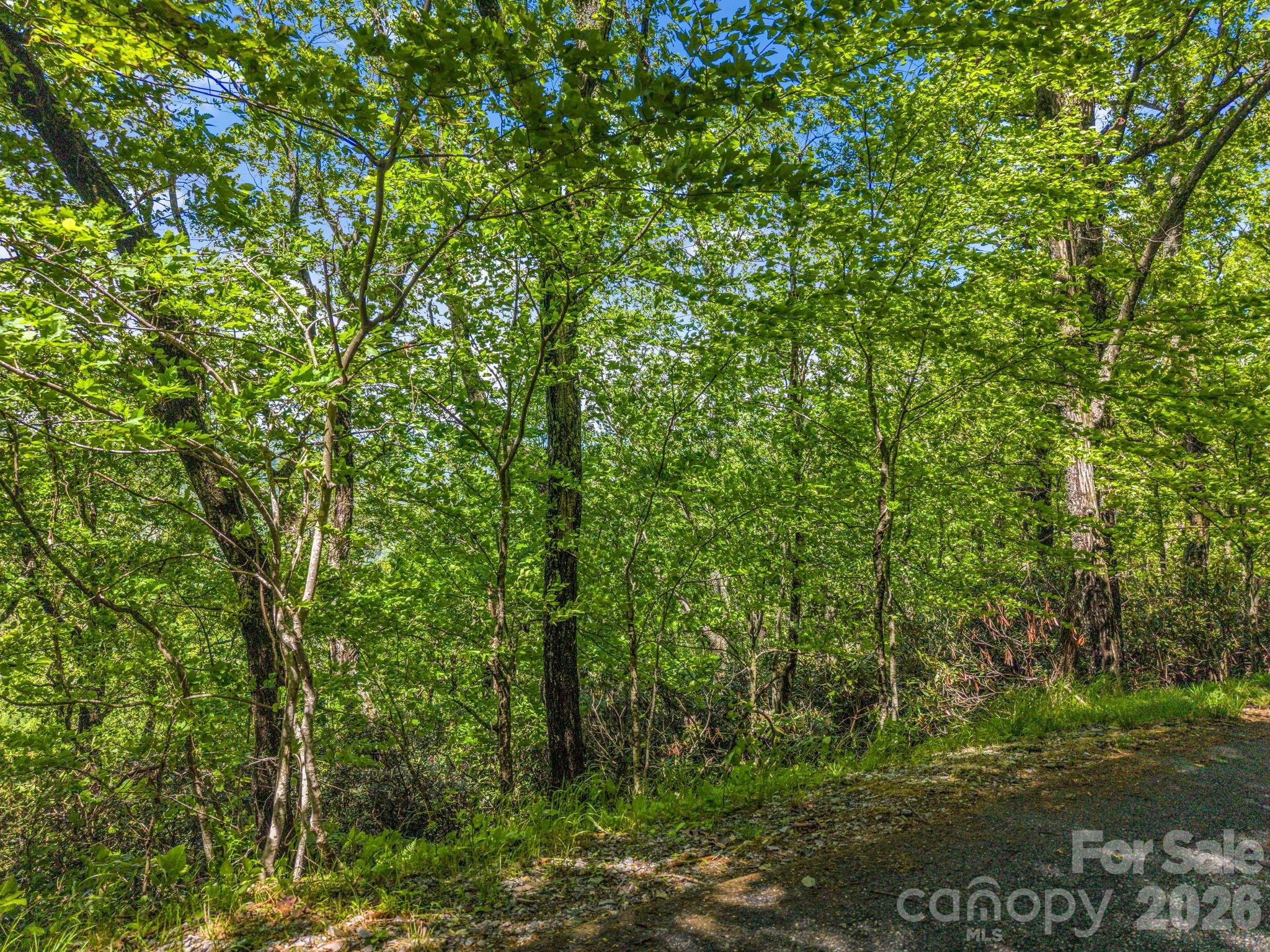 99999 Laurel Drive Mills River NC 28759