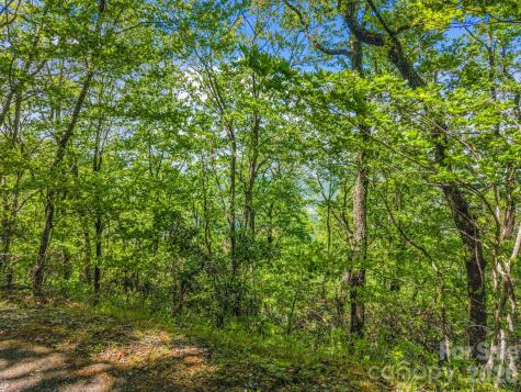 99999 Laurel Drive Mills River NC 28759