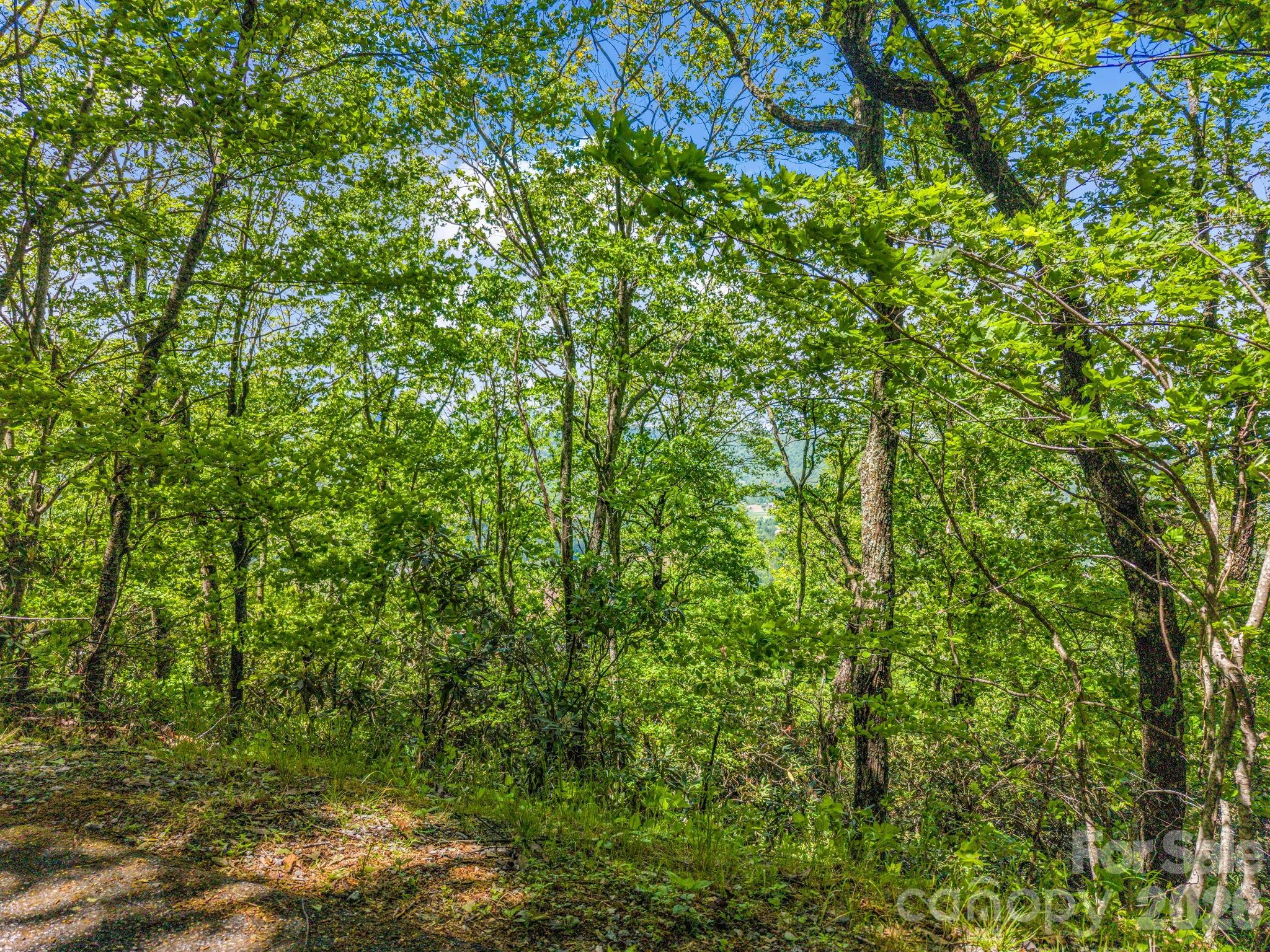 99999 Laurel Drive Mills River NC 28759
