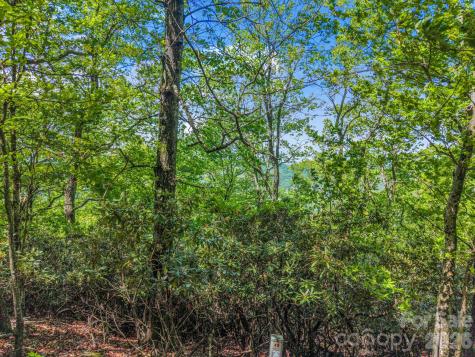 99999 Laurel Drive Mills River NC 28759