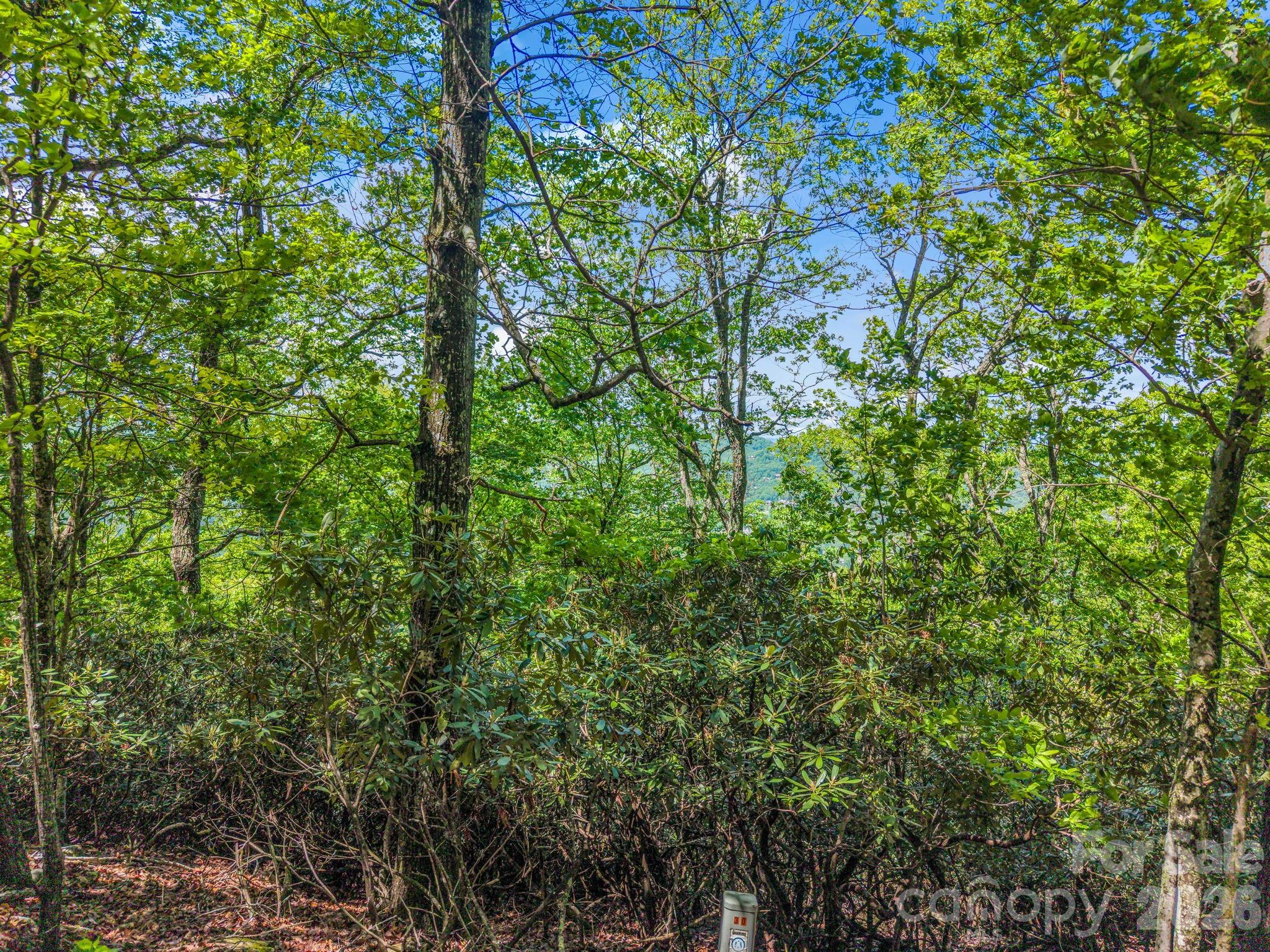 99999 Laurel Drive Mills River NC 28759