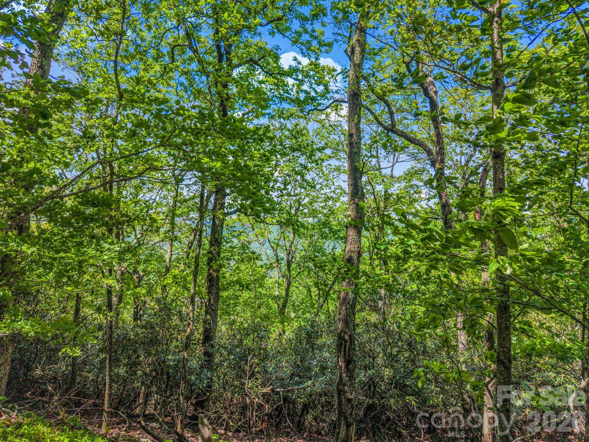 99999 Laurel Drive Mills River NC 28759