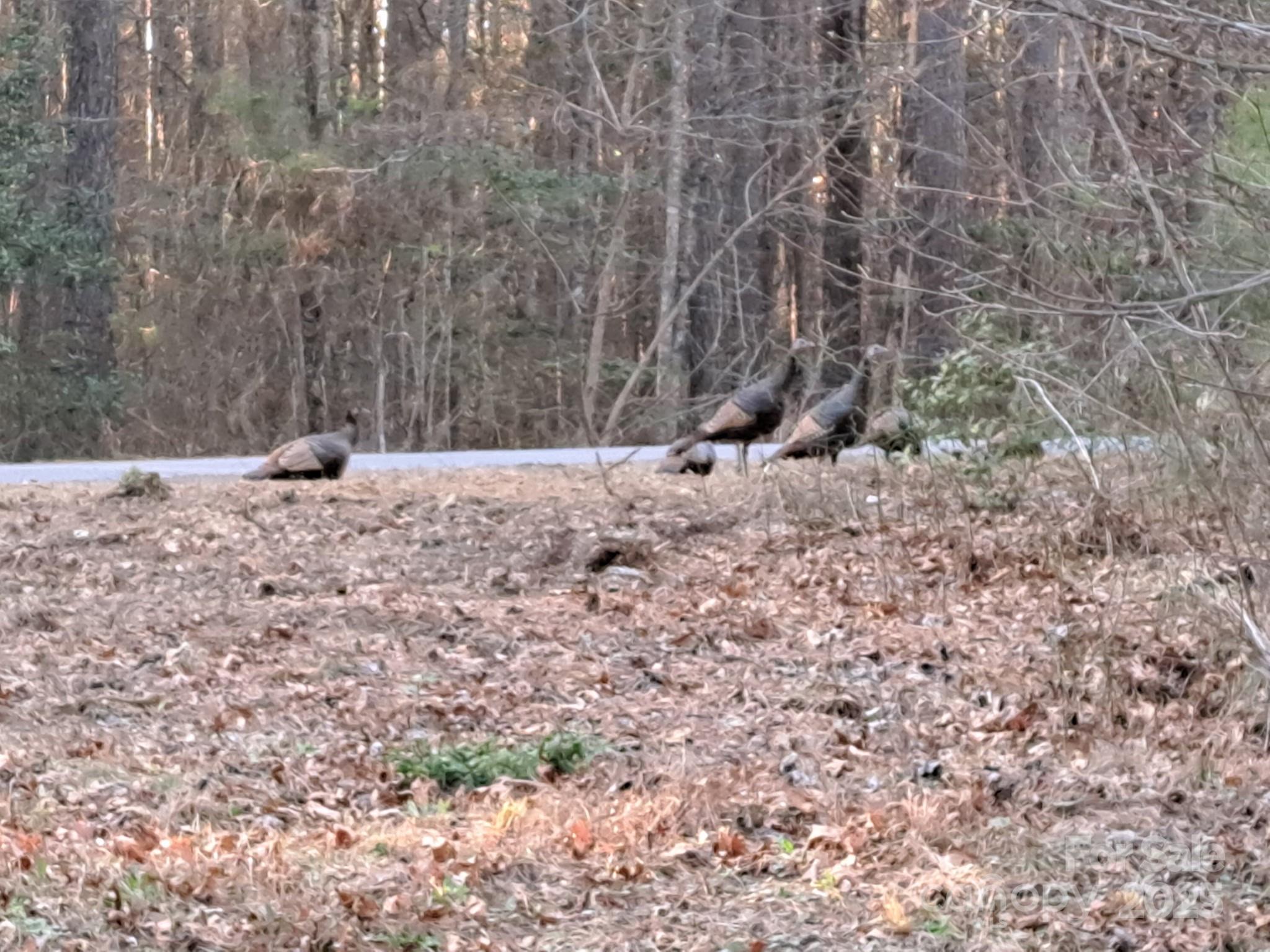 4027 Skyline Drive Morganton NC 28655