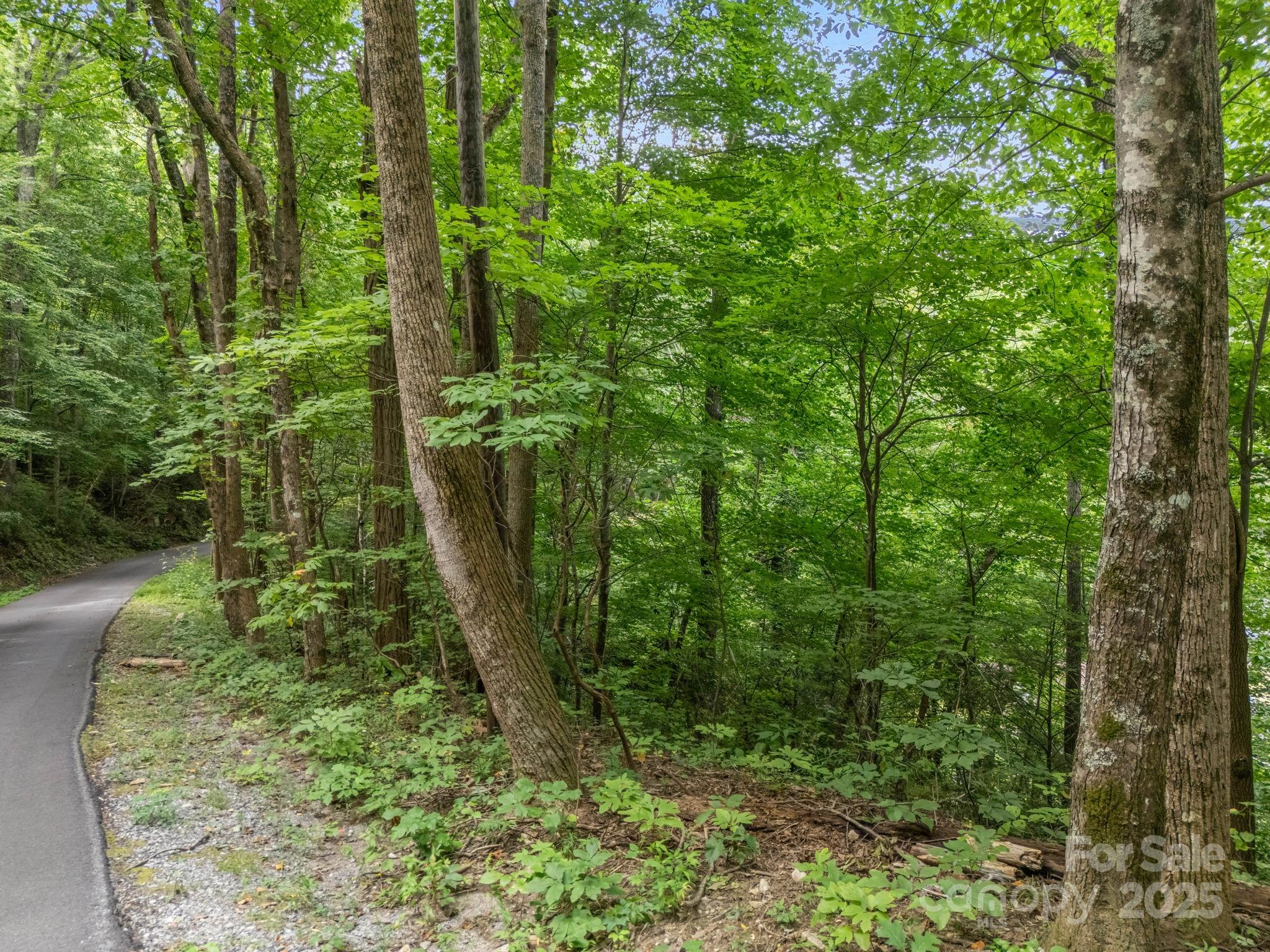 00 Mistletoe Park Lake Lure NC 28746