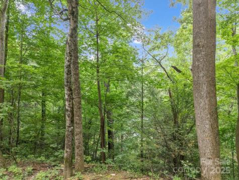 00 Mistletoe Park Lake Lure NC 28746