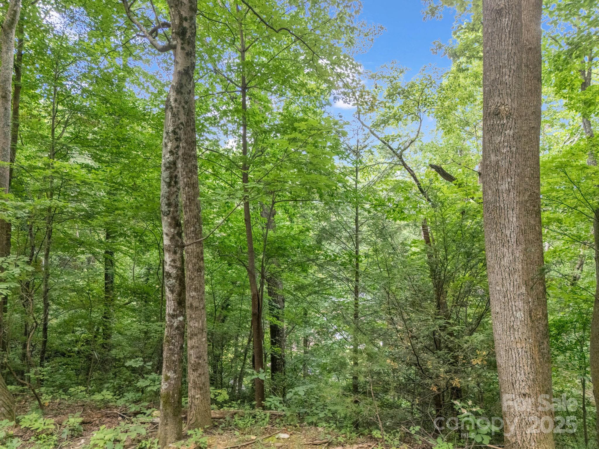 00 Mistletoe Park Lake Lure NC 28746