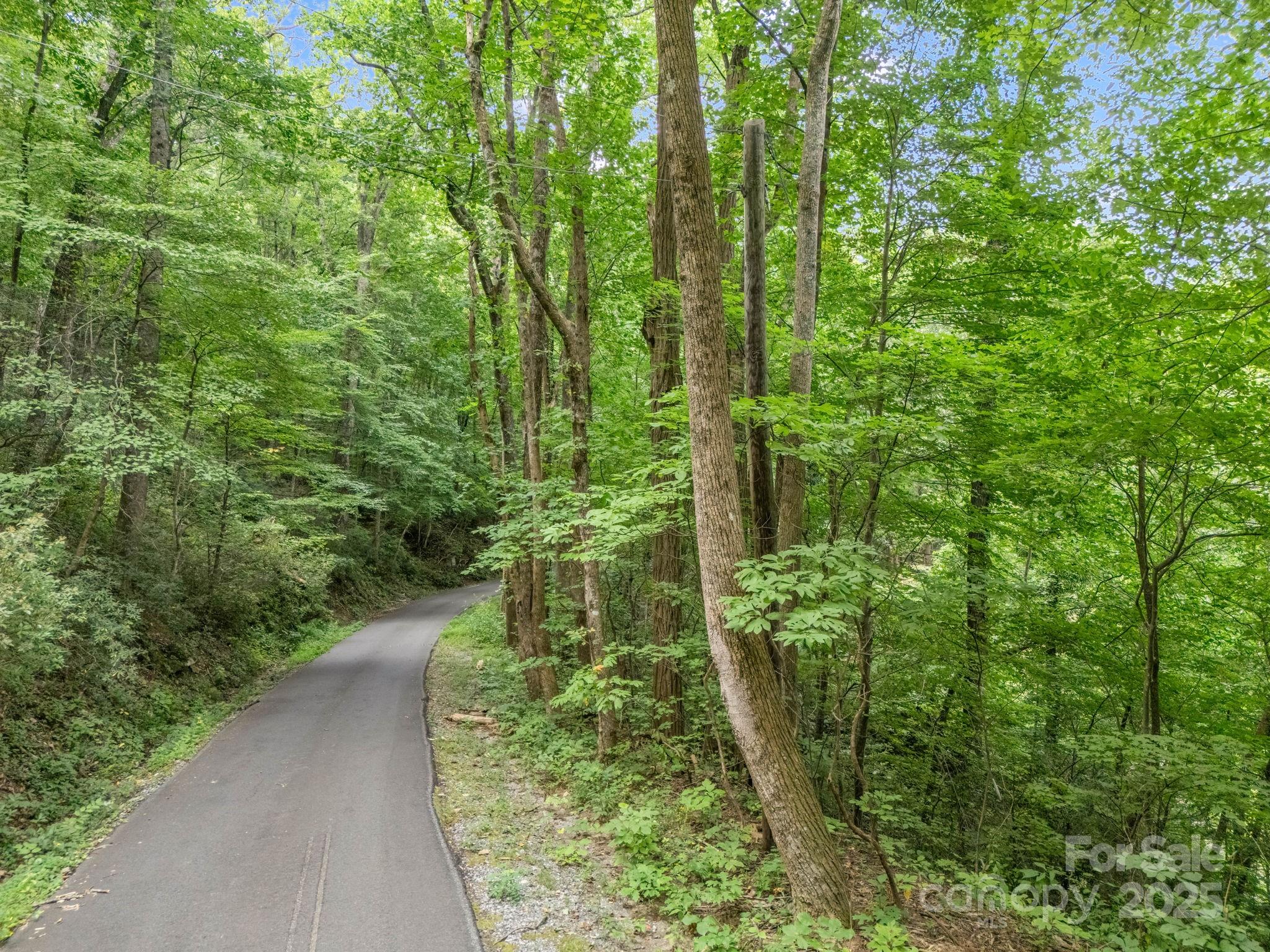 00 Mistletoe Park Lake Lure NC 28746