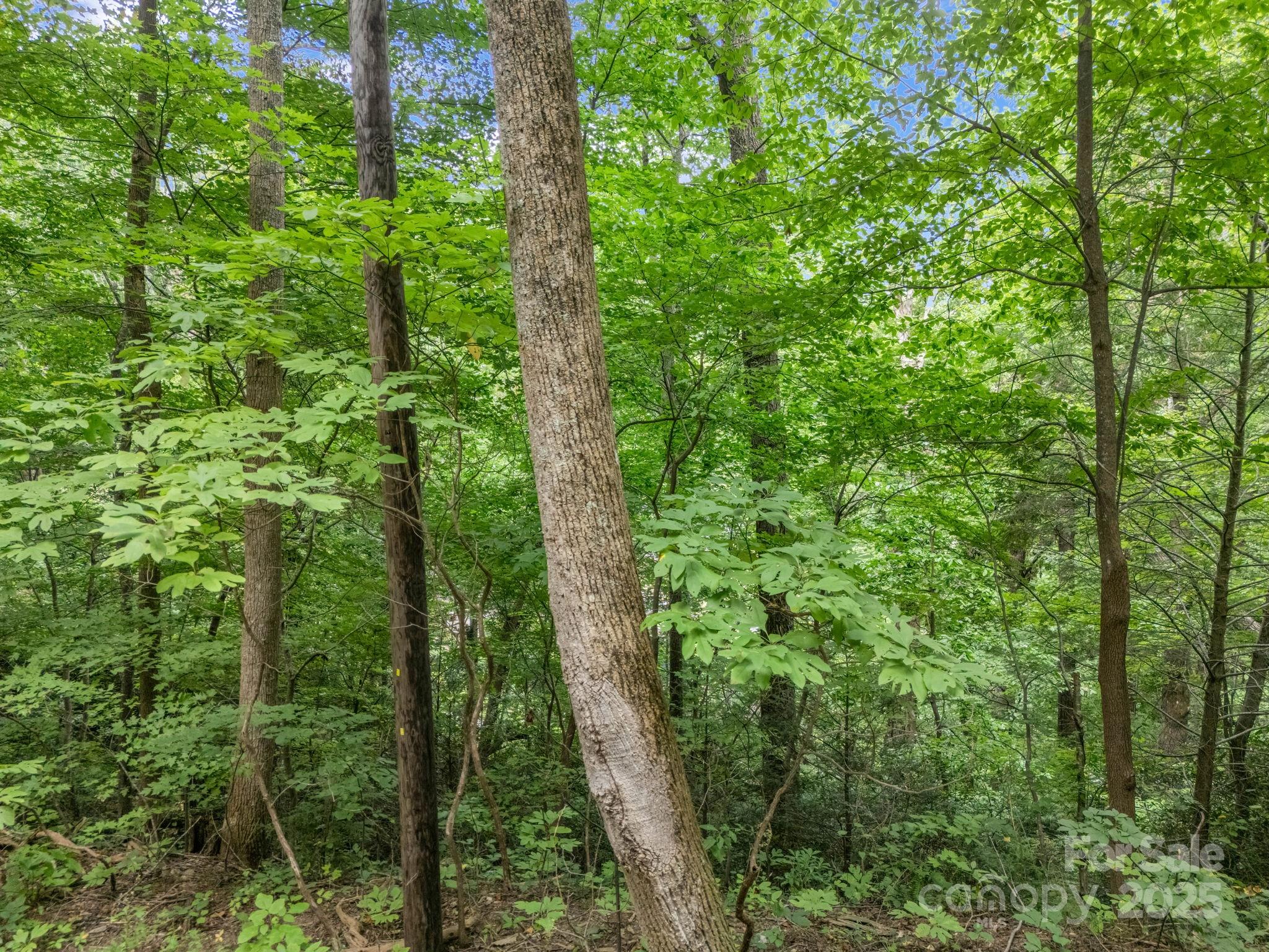 00 Mistletoe Park Lake Lure NC 28746