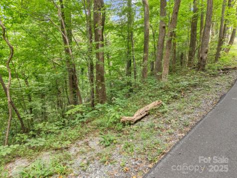 00 Mistletoe Park Lake Lure NC 28746