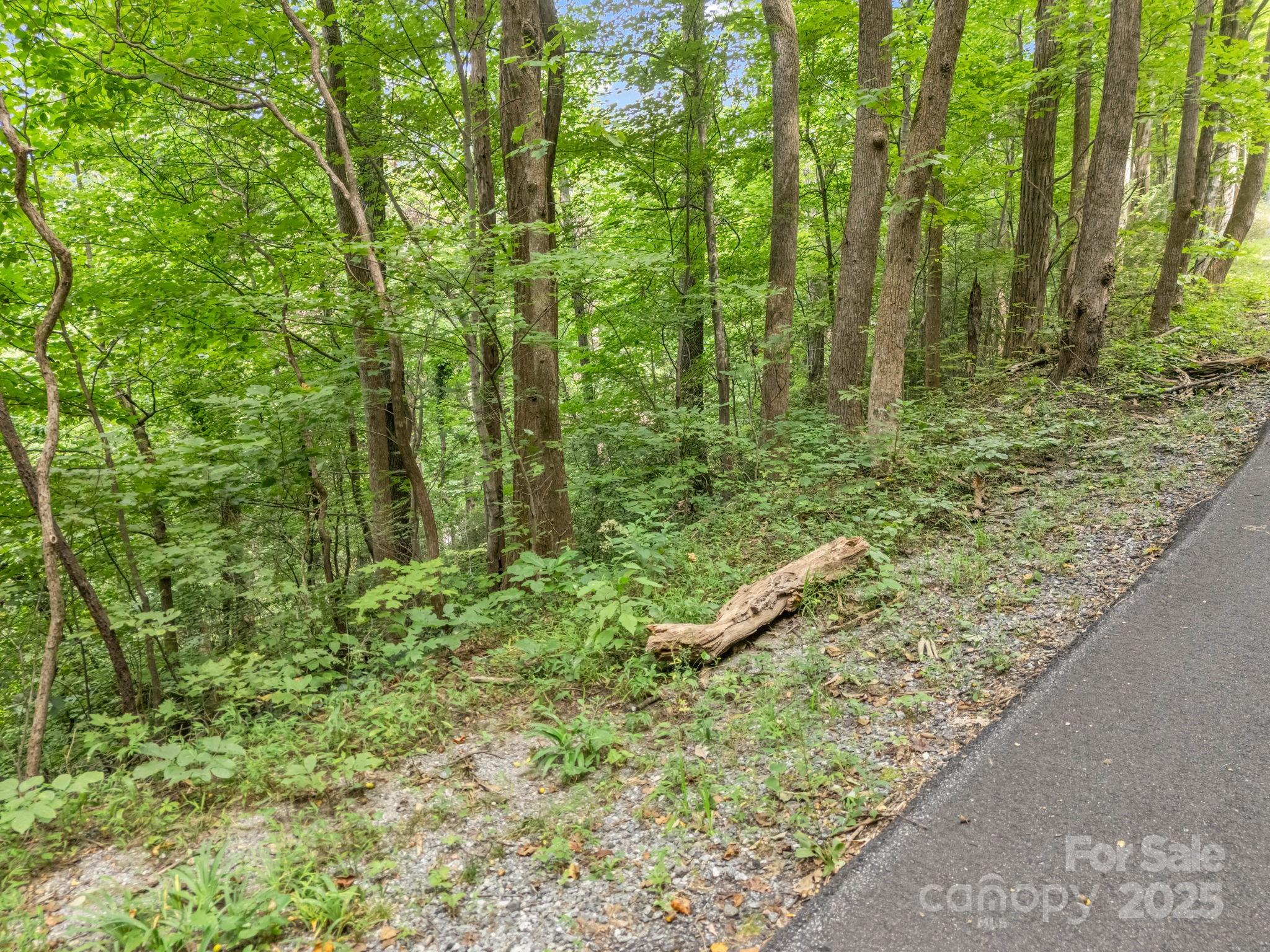 00 Mistletoe Park Lake Lure NC 28746
