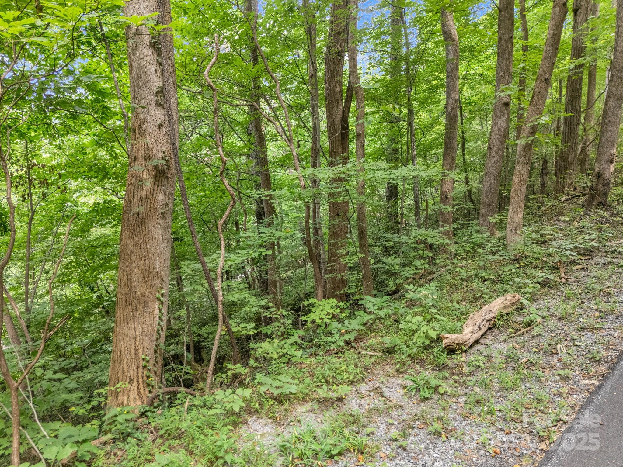 00 Mistletoe Park Lake Lure NC 28746