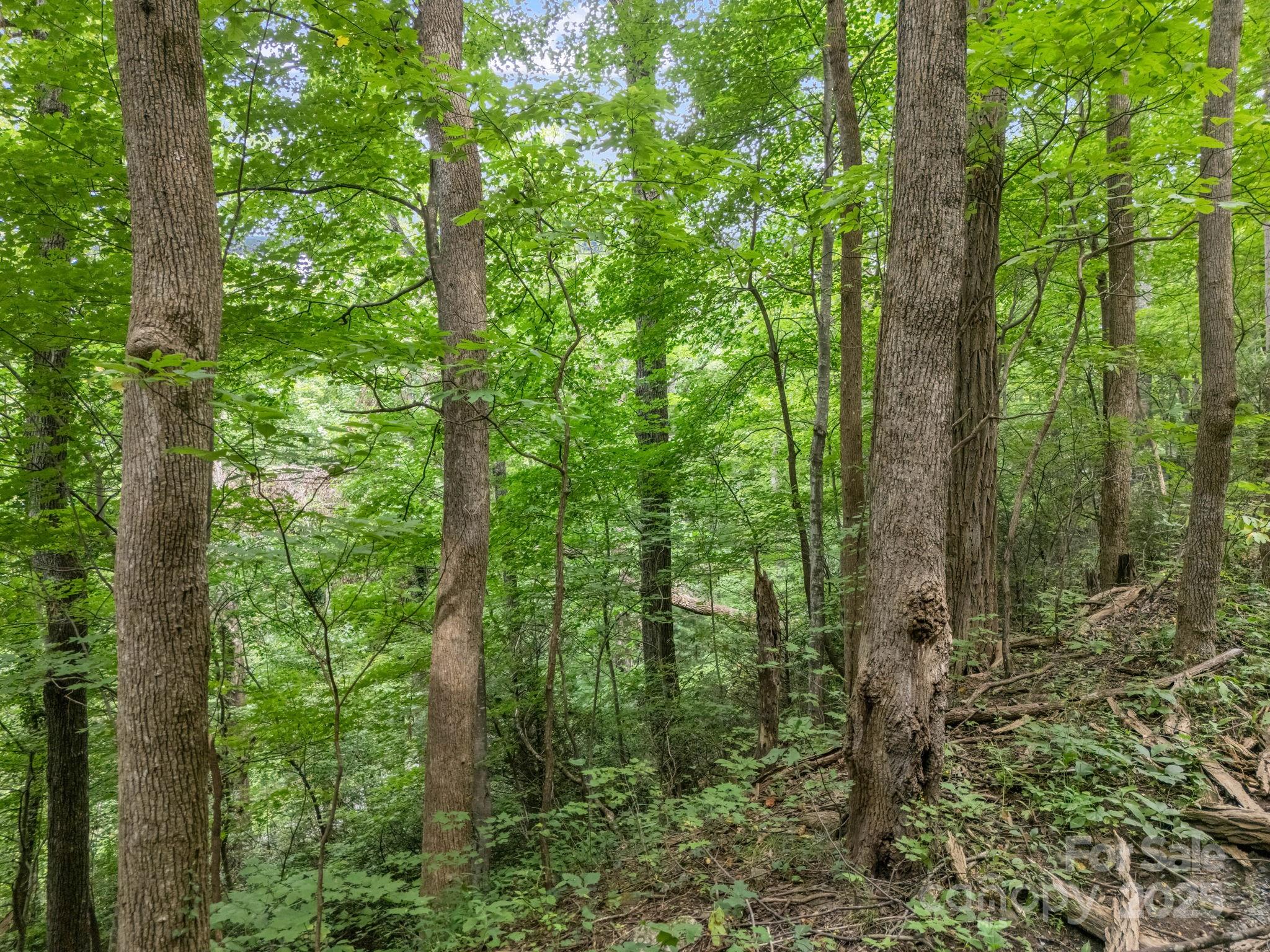 00 Mistletoe Park Lake Lure NC 28746