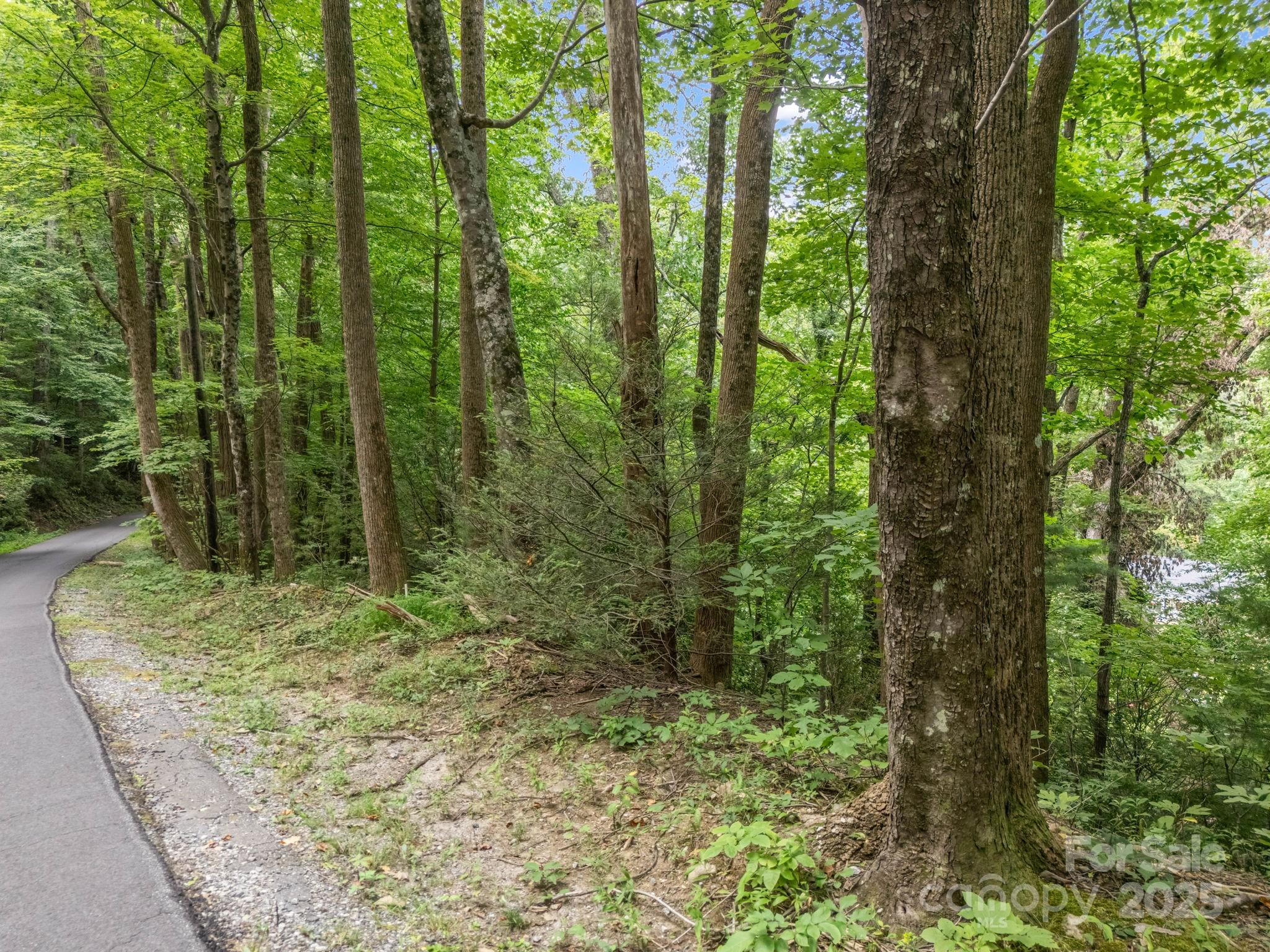 00 Mistletoe Park Lake Lure NC 28746