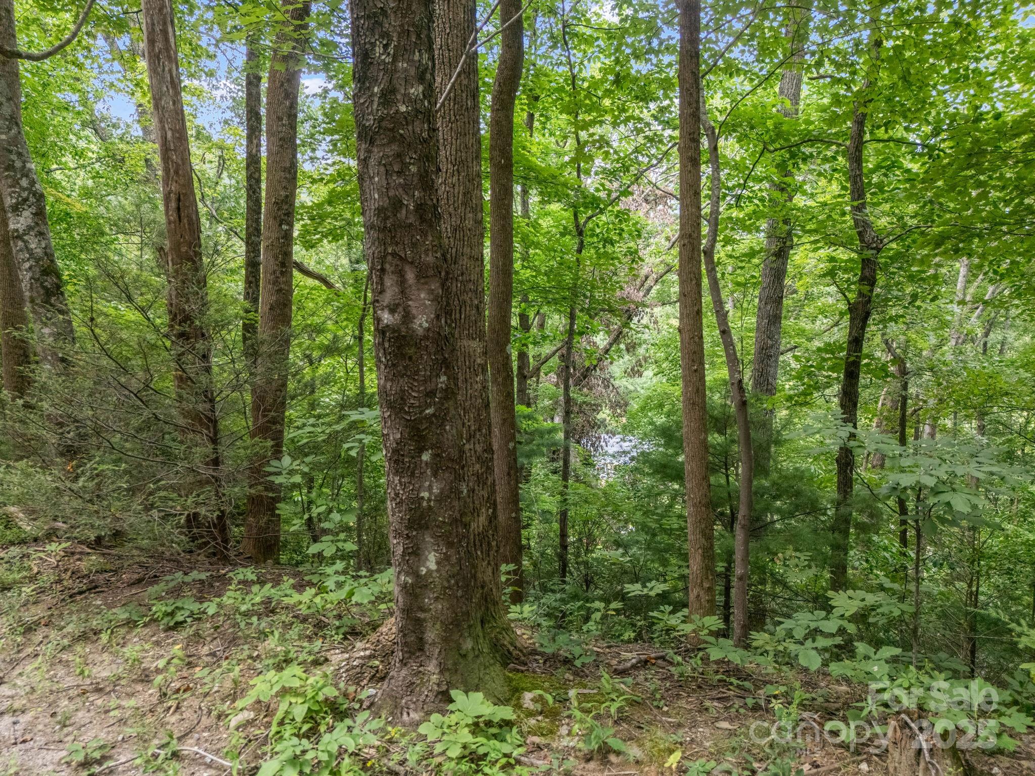 00 Mistletoe Park Lake Lure NC 28746