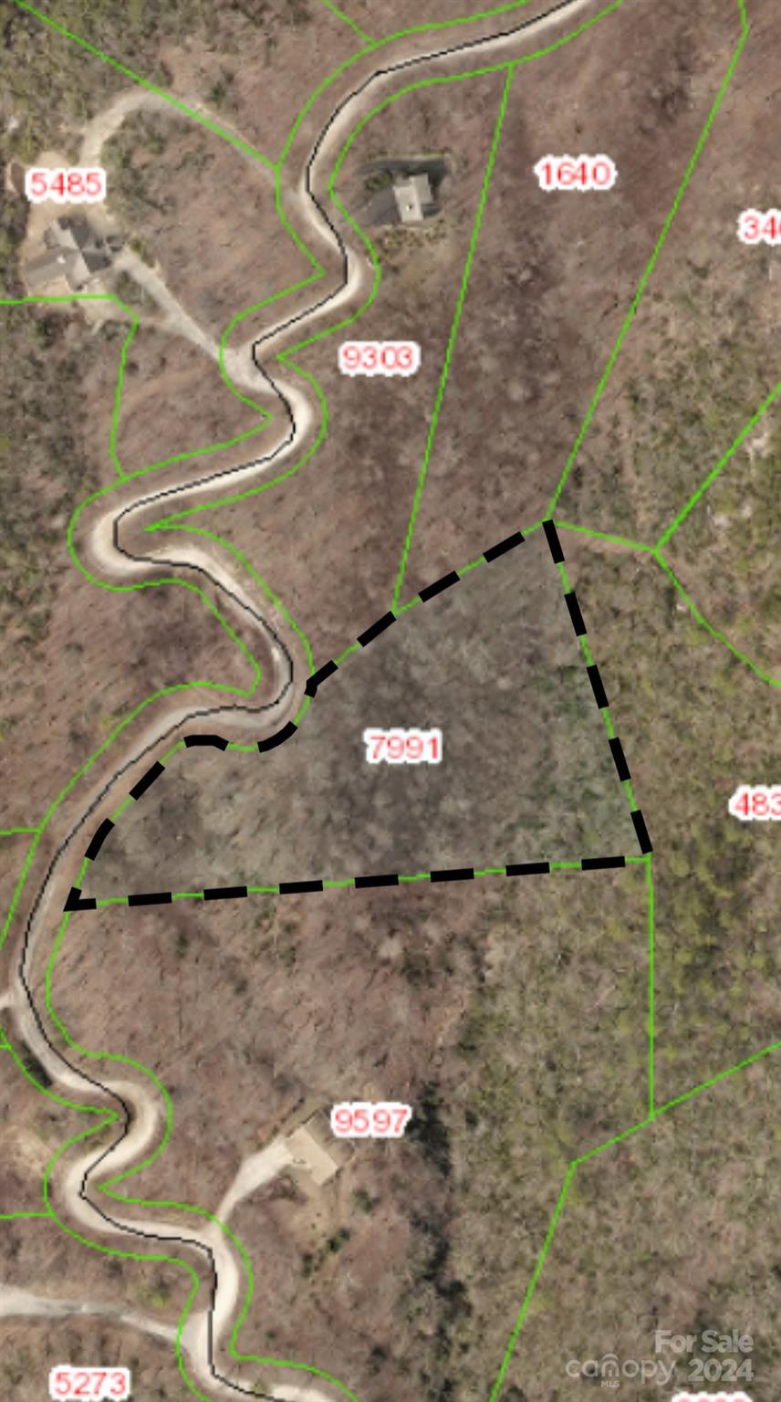 1013 Wolf Pen Road, Old Fort NC MLS Car4110675 GreyBeard Realty