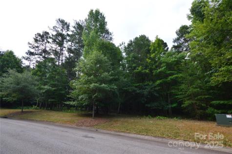8013 Water View Drive Belmont NC 28012