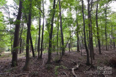 8013 Water View Drive Belmont NC 28012