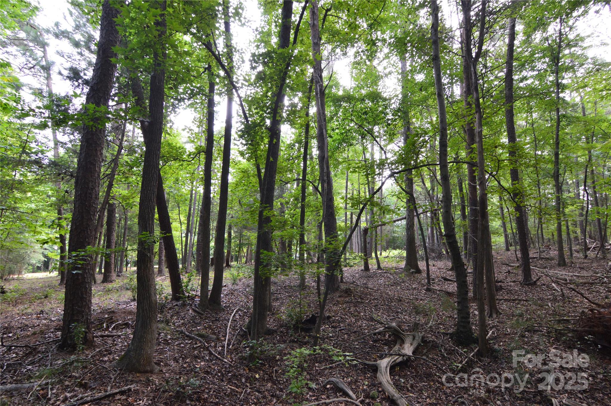 8013 Water View Drive Belmont NC 28012