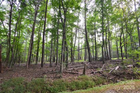 8013 Water View Drive Belmont NC 28012