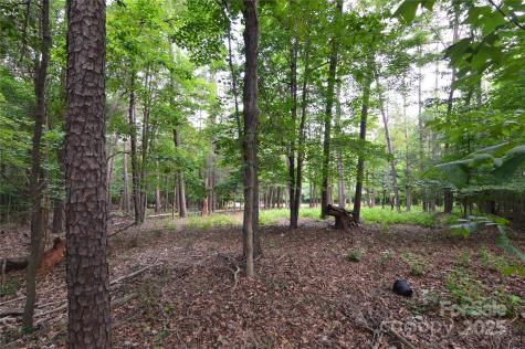 8013 Water View Drive Belmont NC 28012