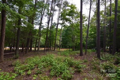 8013 Water View Drive Belmont NC 28012